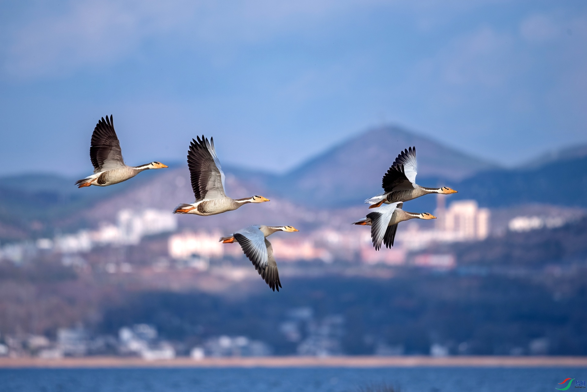 DSC_4740 ����-01.jpeg