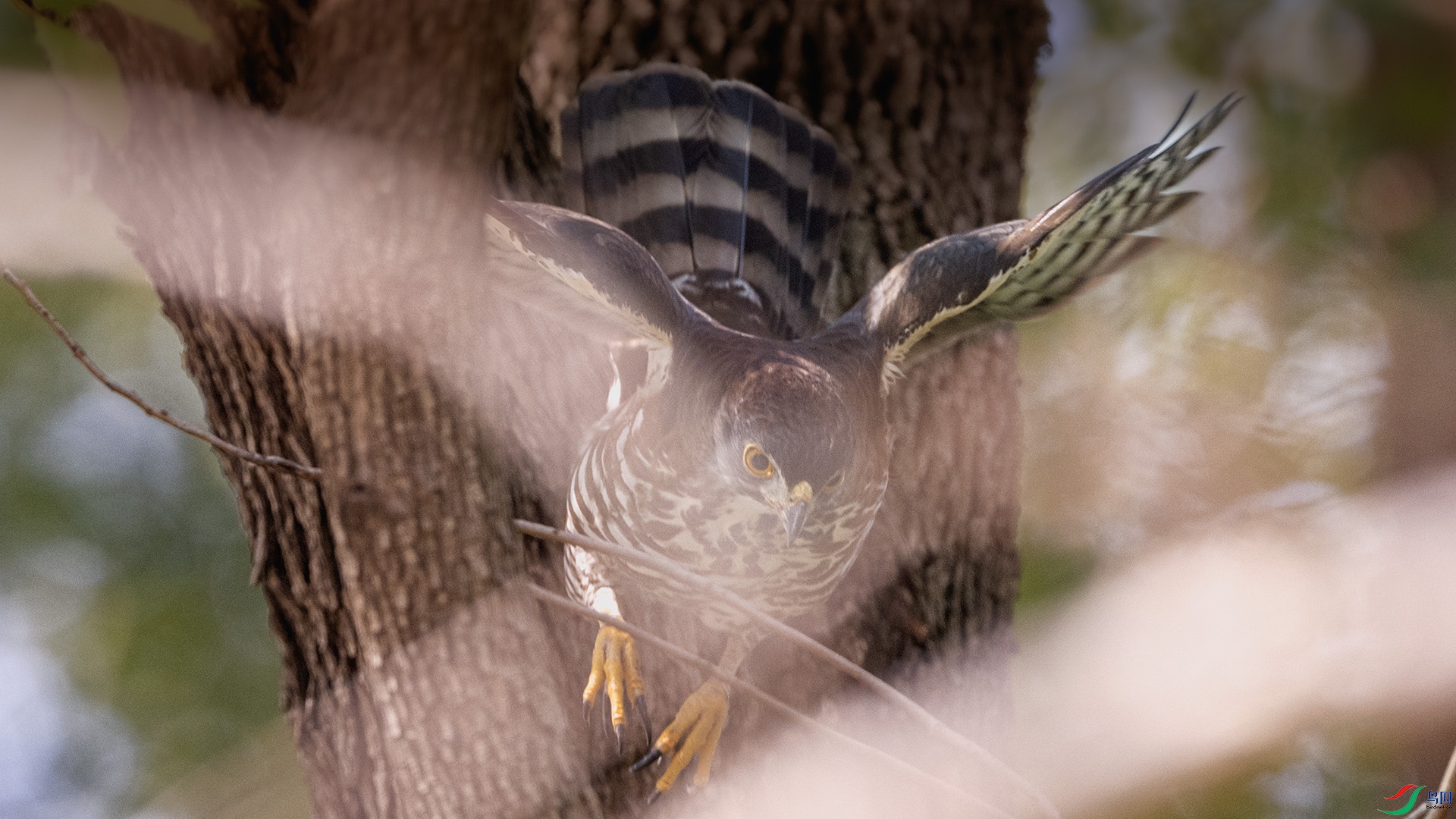 DSC_4425 ����.jpg