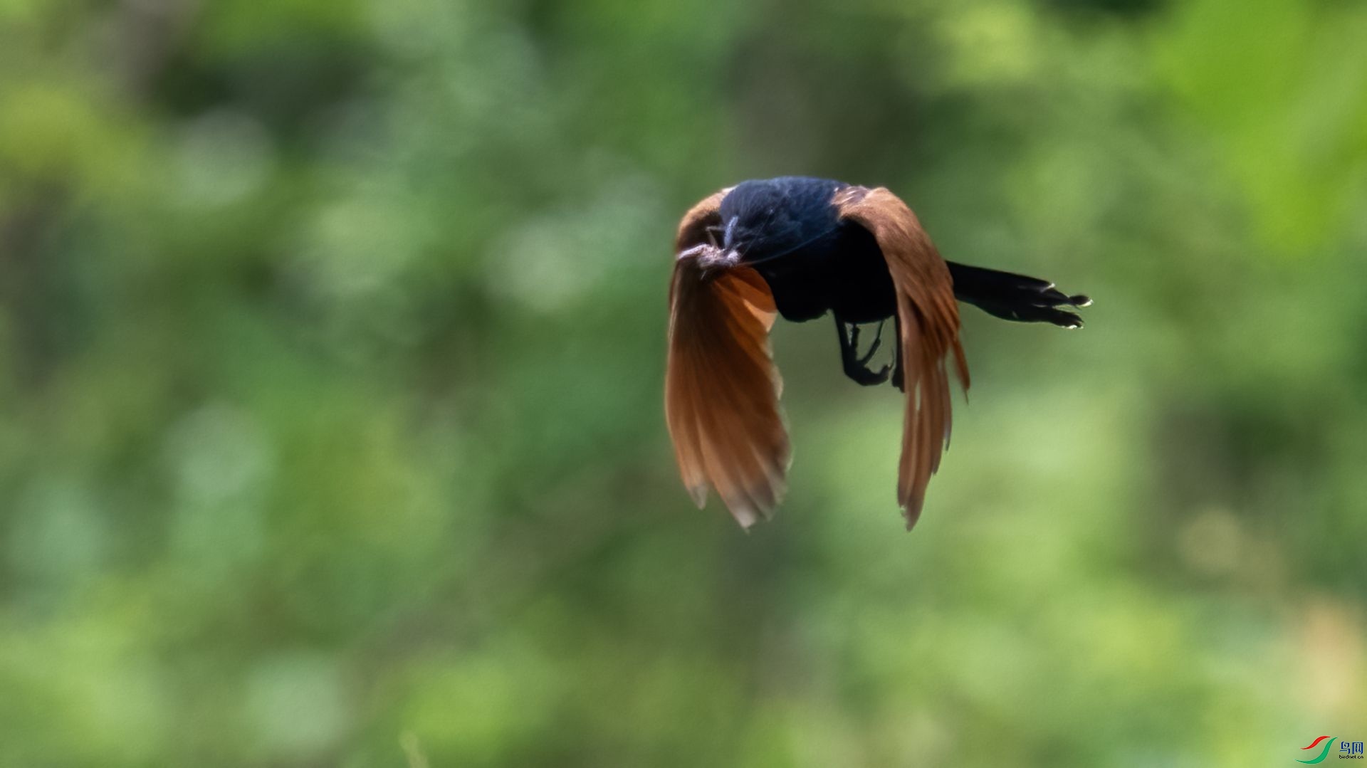 _DSC1648 ����.jpg