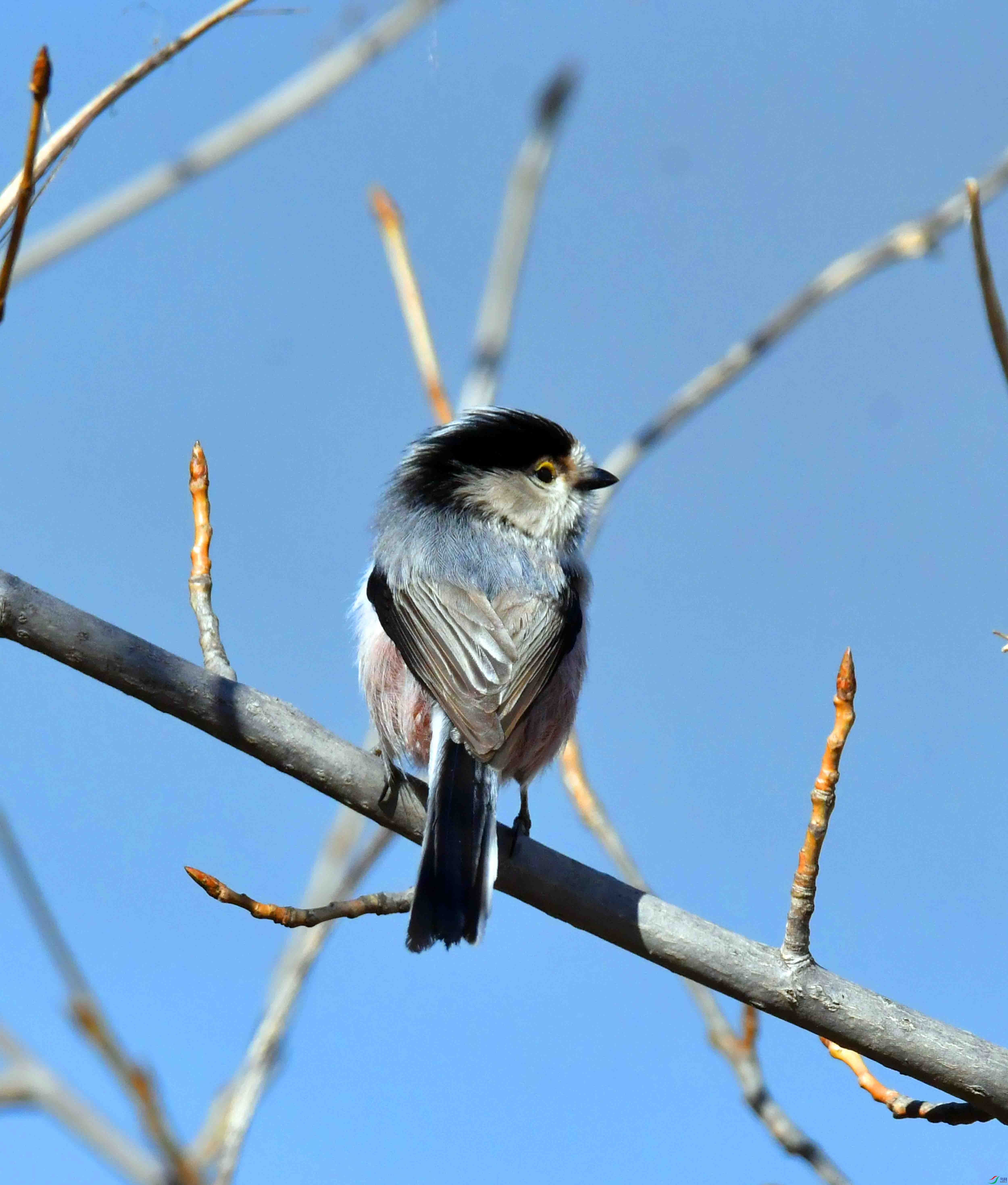 DSC_5090.JPG