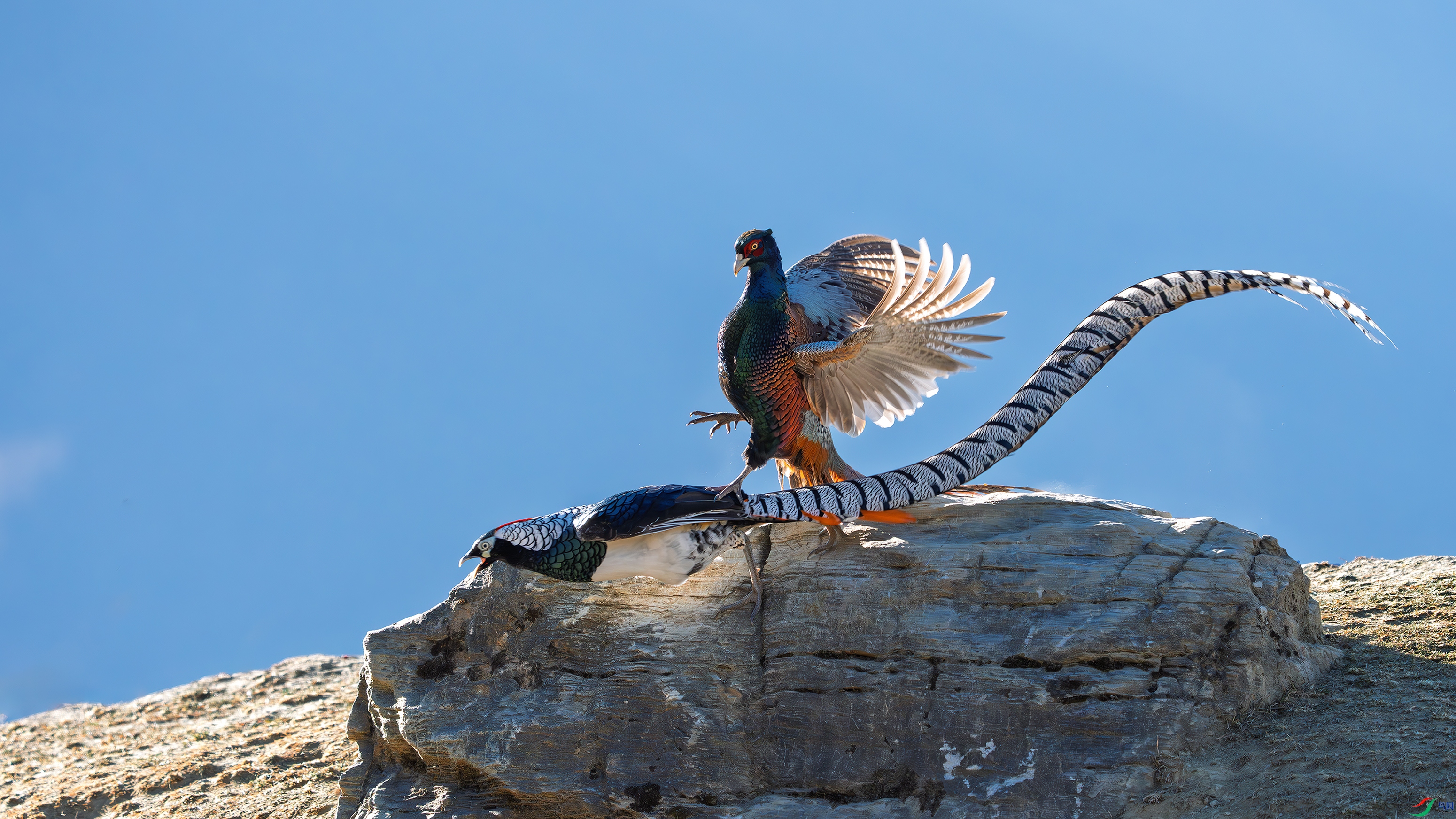 _DSC4945 ����.jpg