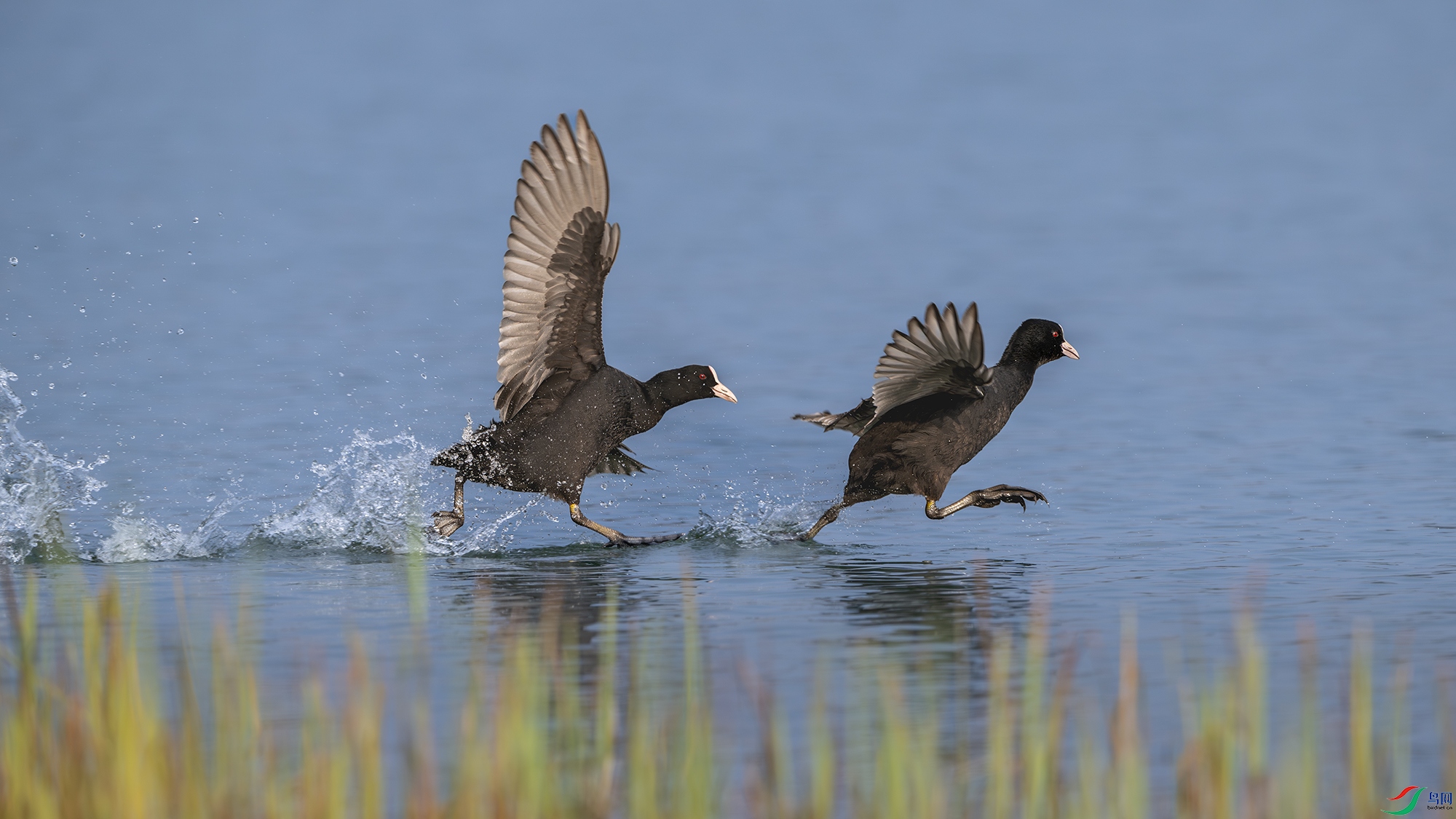 _DSC9408-2 ����С.jpg