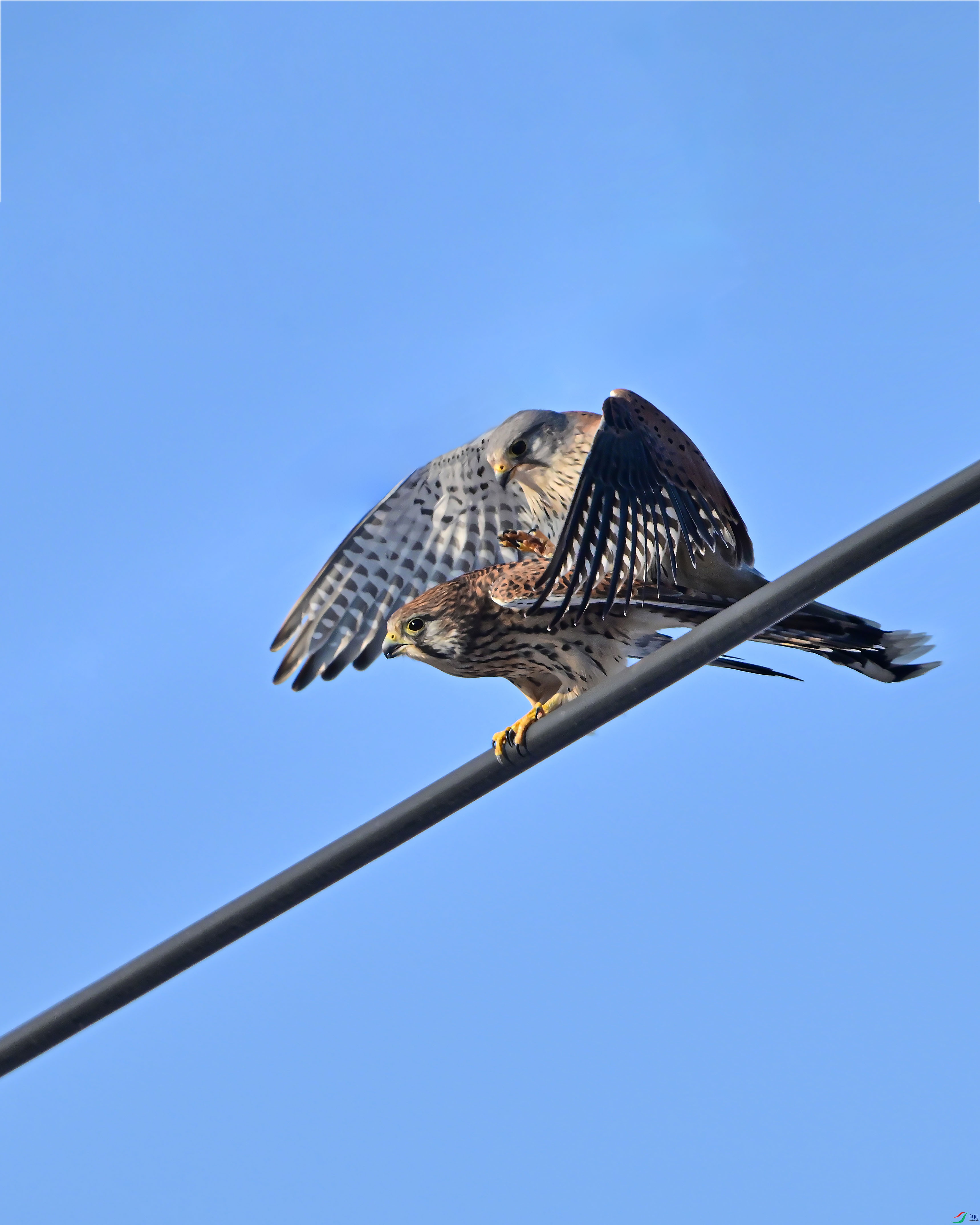 LWG_8206.jpg