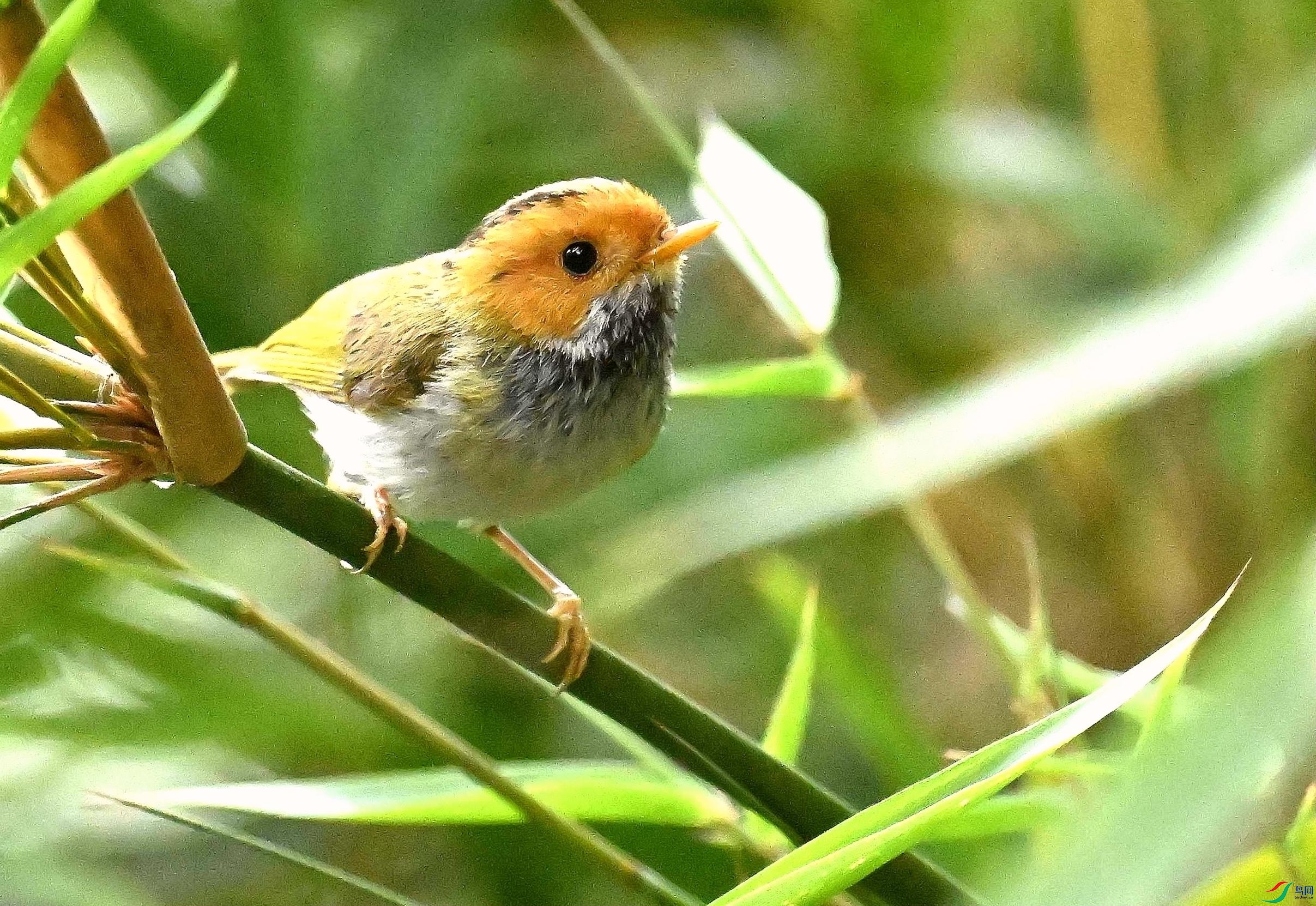 DSC_9946_����.jpg