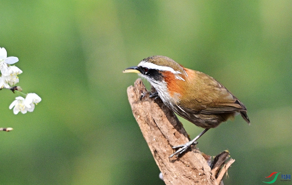 DSC_3701.JPG