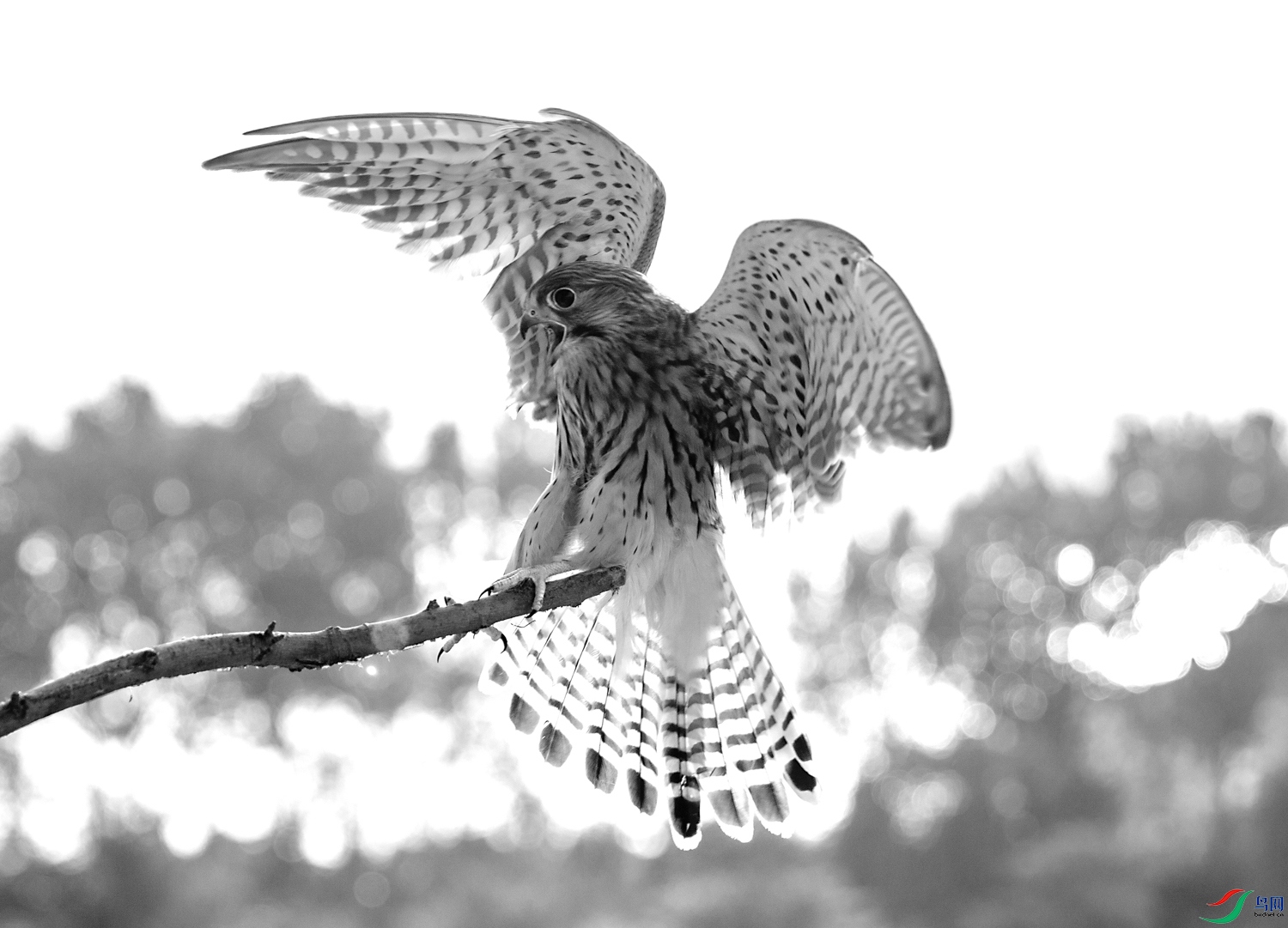 1N5A7608 ����.jpg