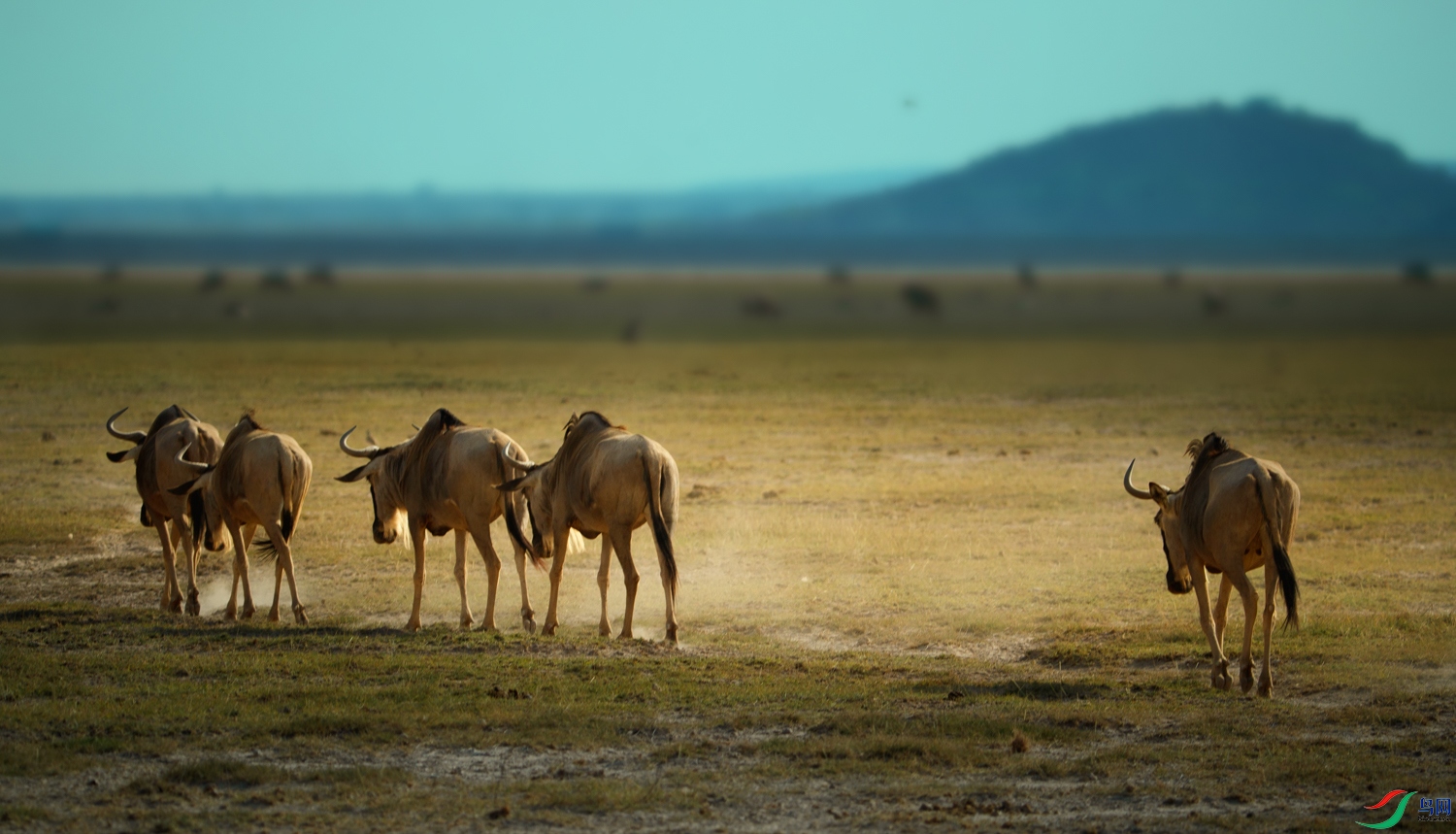 AQ9I6306 ����.jpg