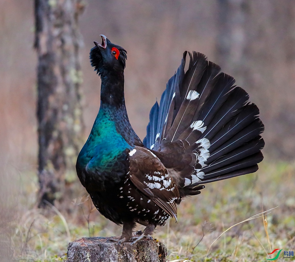 �����ɼ� (2).JPG