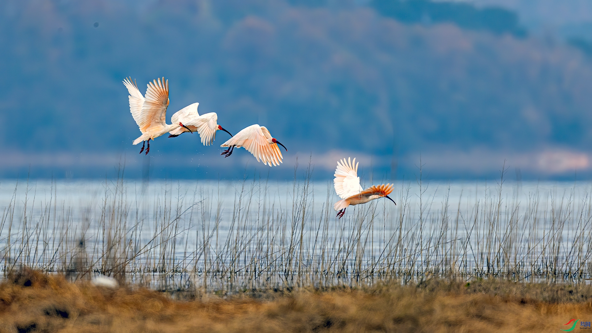 _32I9597 ����.jpg