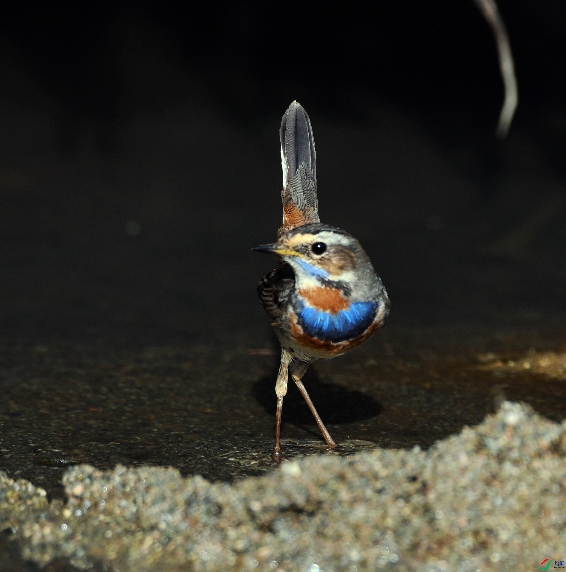 DSC_6152.jpg