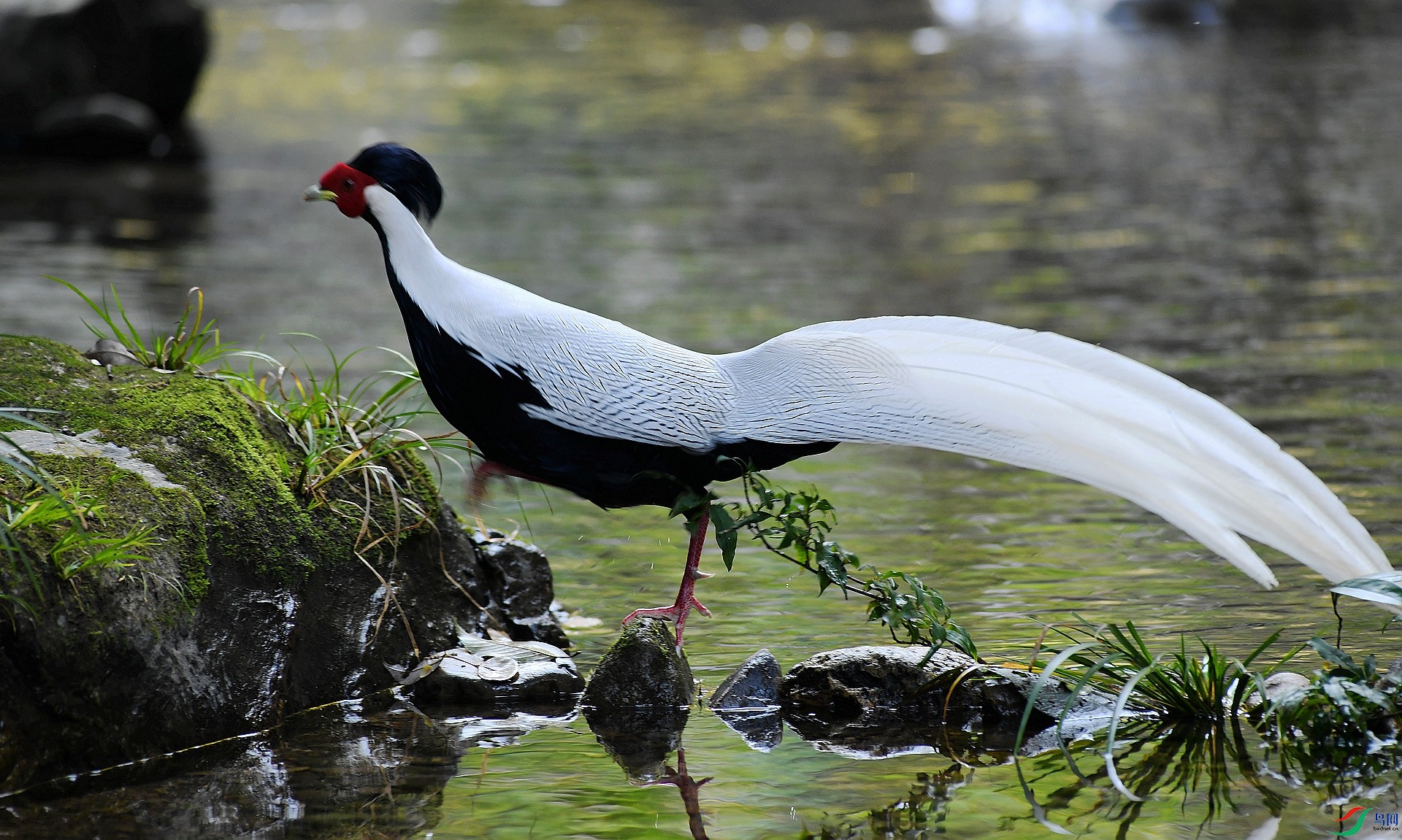 DSC_1467.jpg