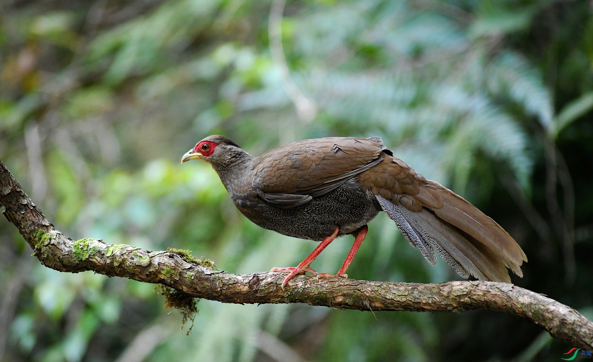 DSC_2289.jpg