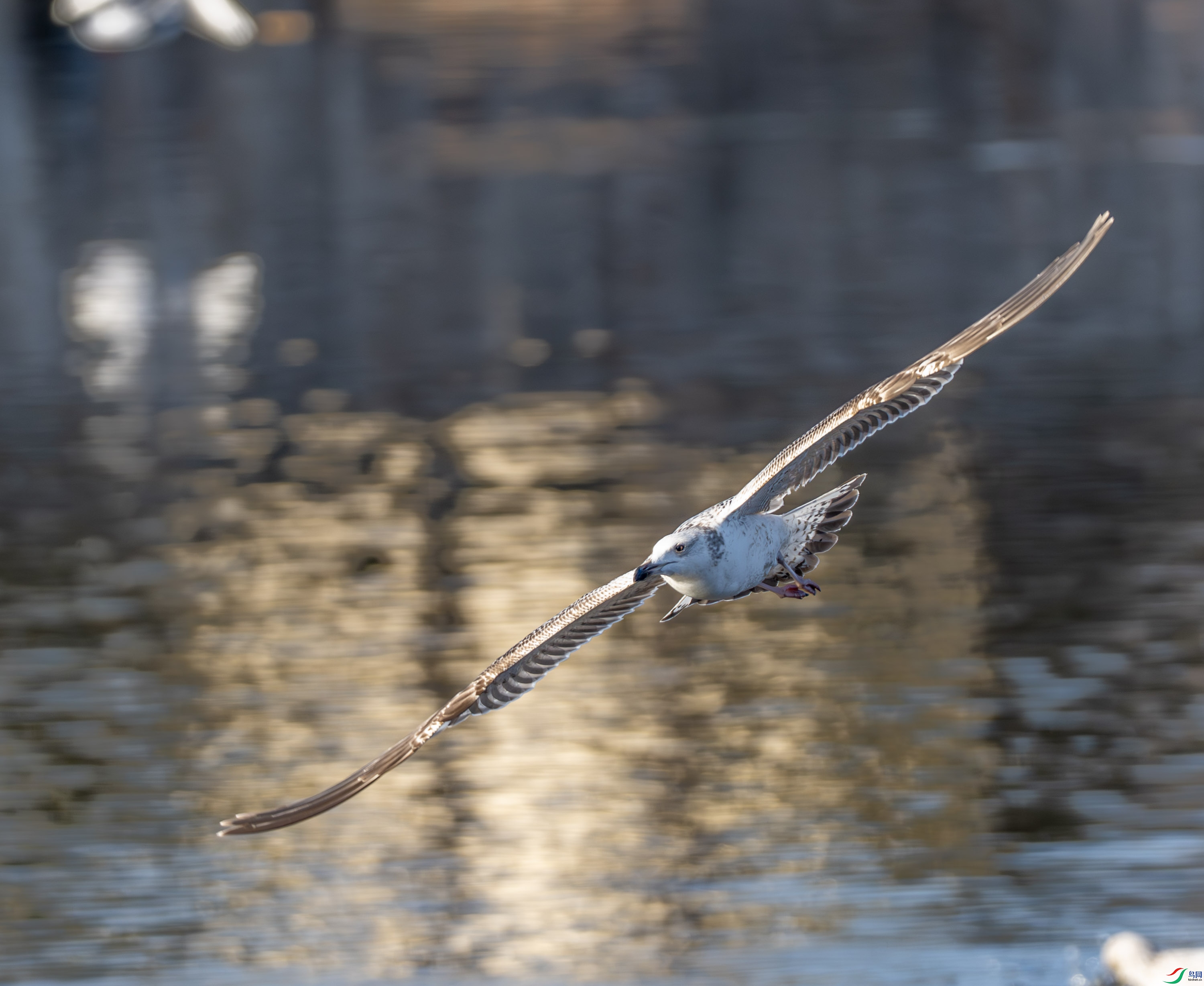 �ɹ���Ÿ-01 (2 - 9).jpg