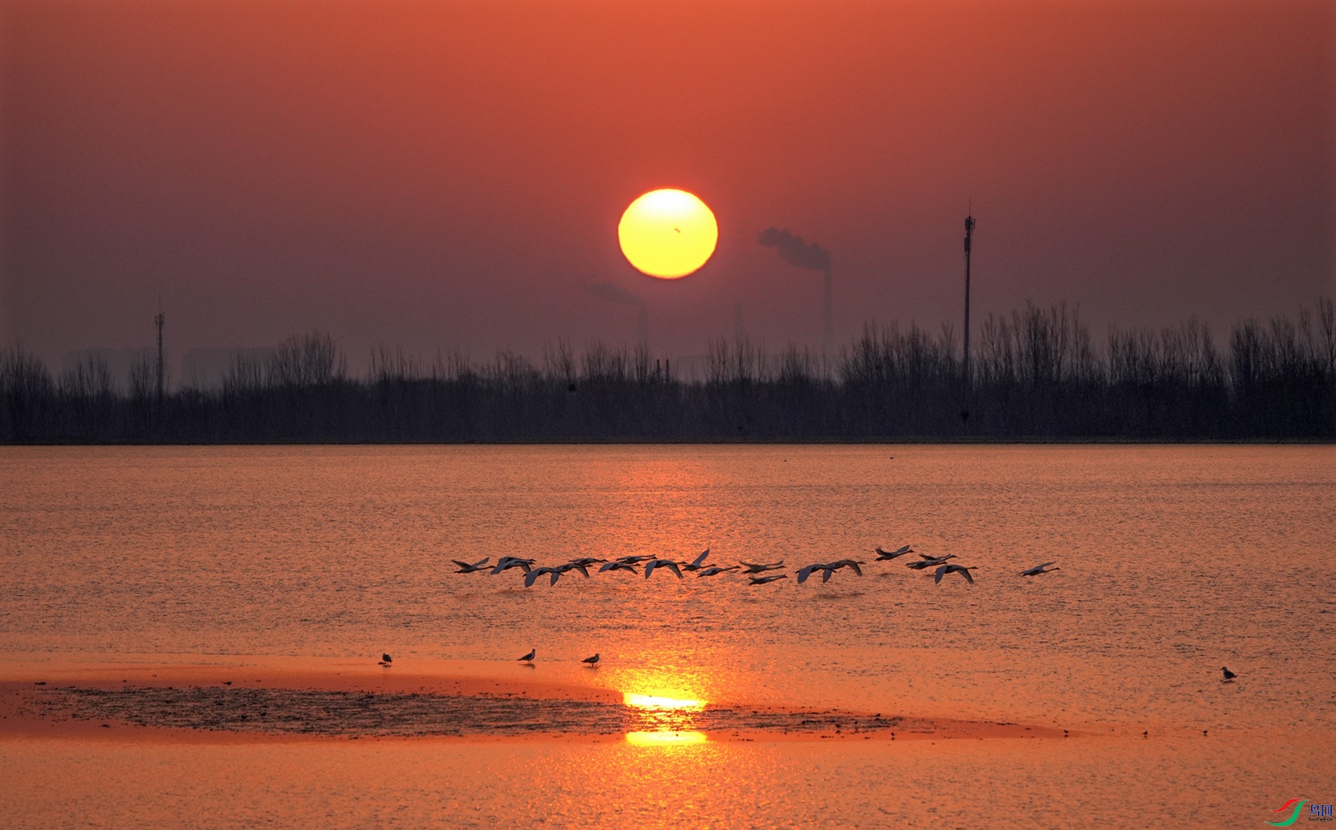 DSC06545,_����.jpg