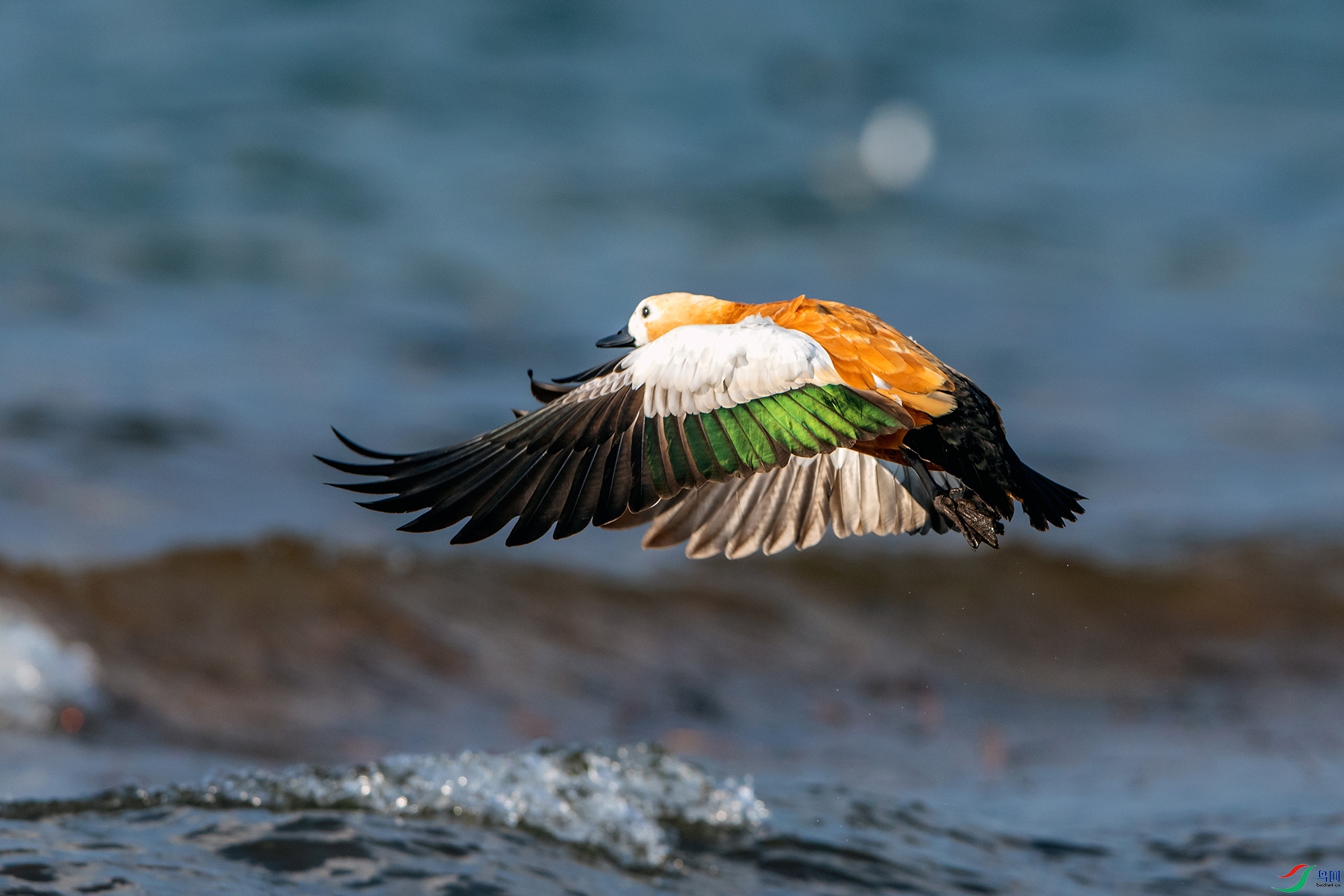 ��_AUU1046������Ѽ(23.2.8)-1.jpg