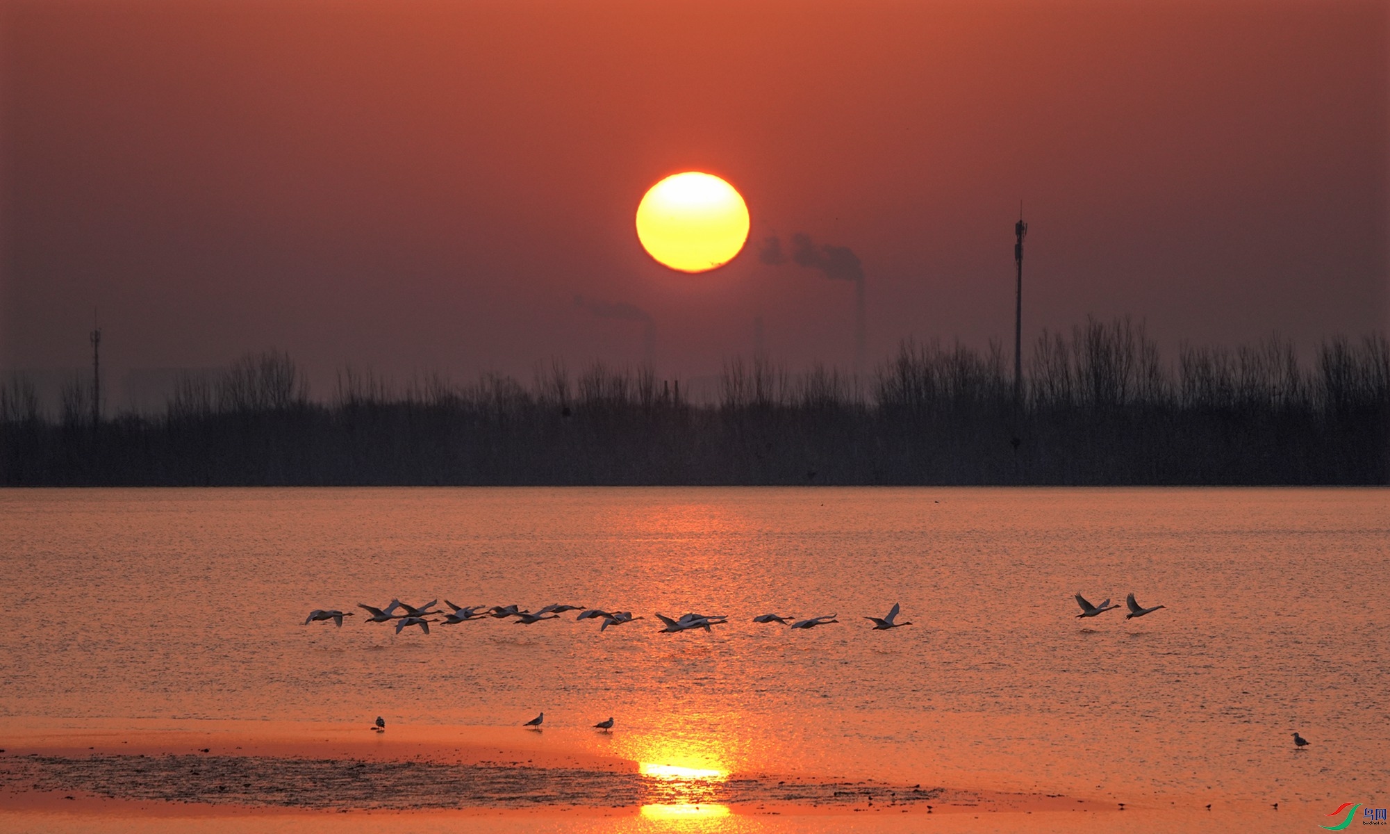 DSC06549,_����.jpg