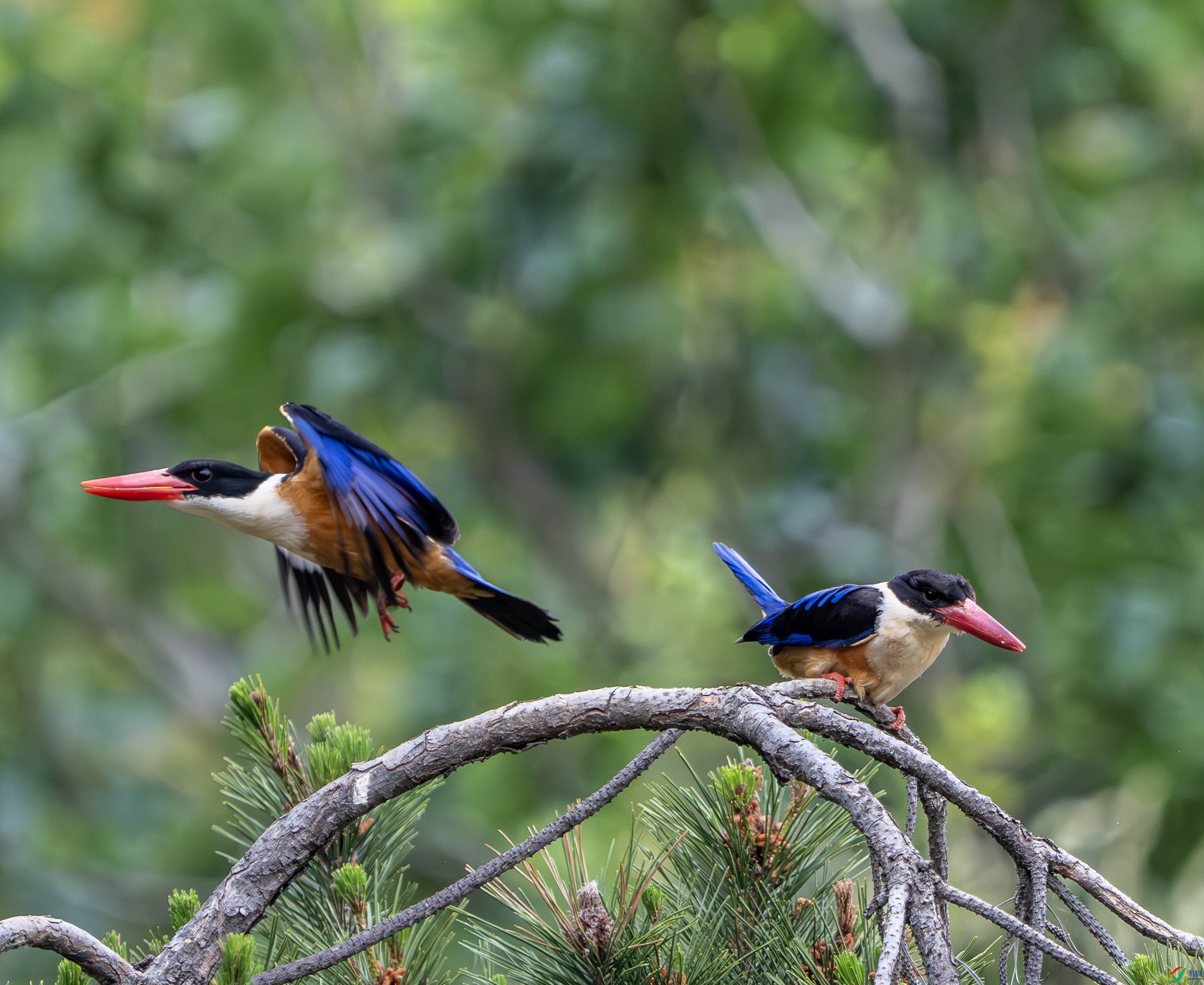 �����-23 (48).jpg