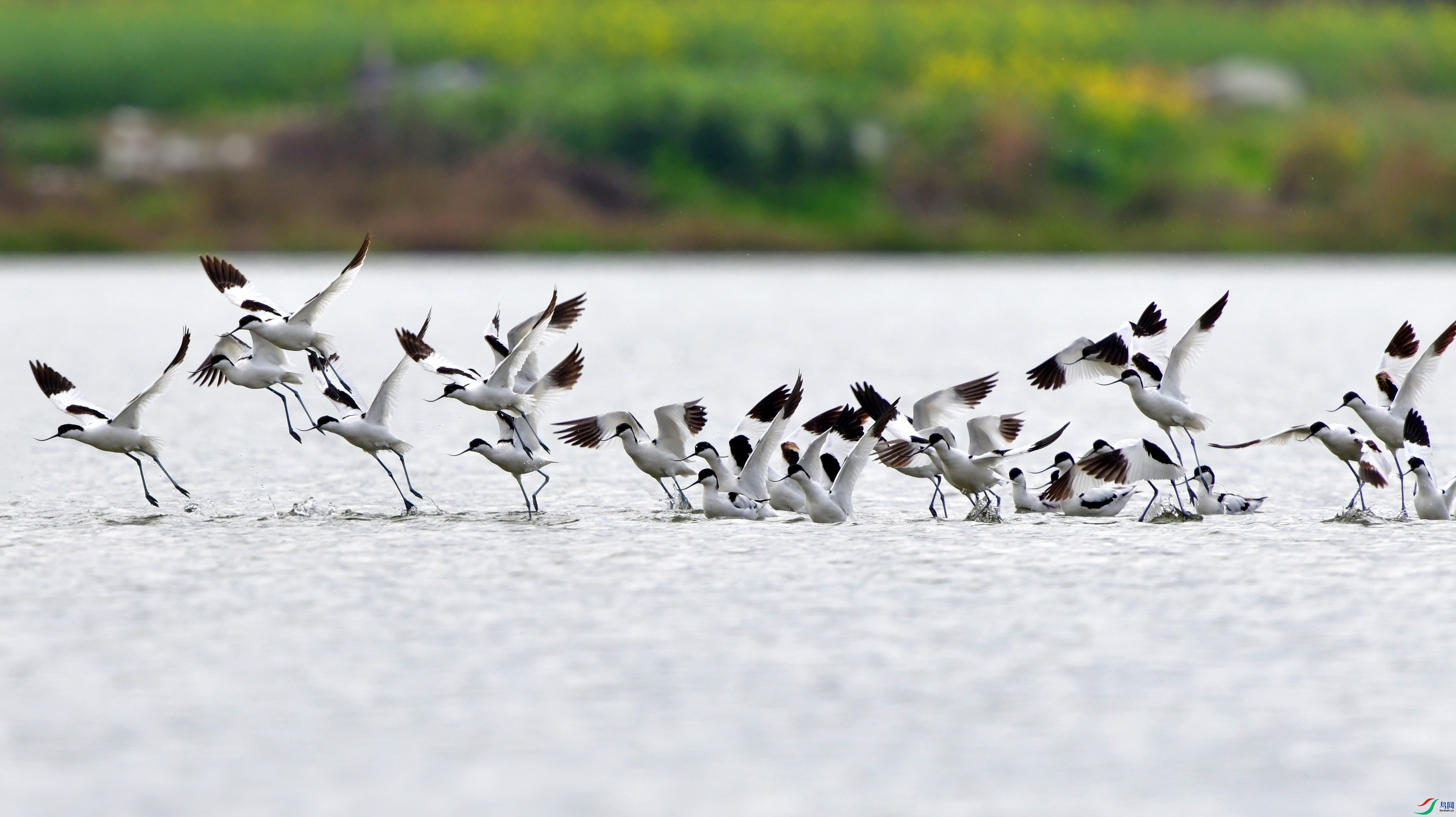 DSC_8669_conew3.jpg