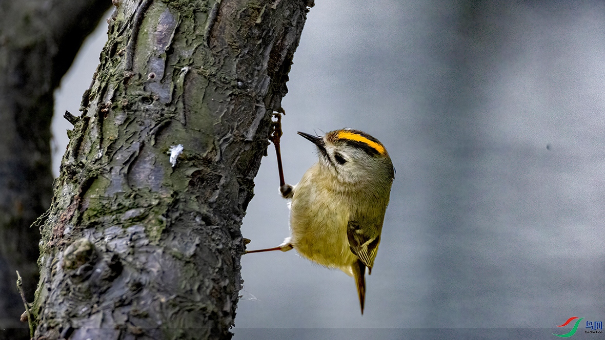 708A3043 ����_edit_277883110275348 ����.jpg