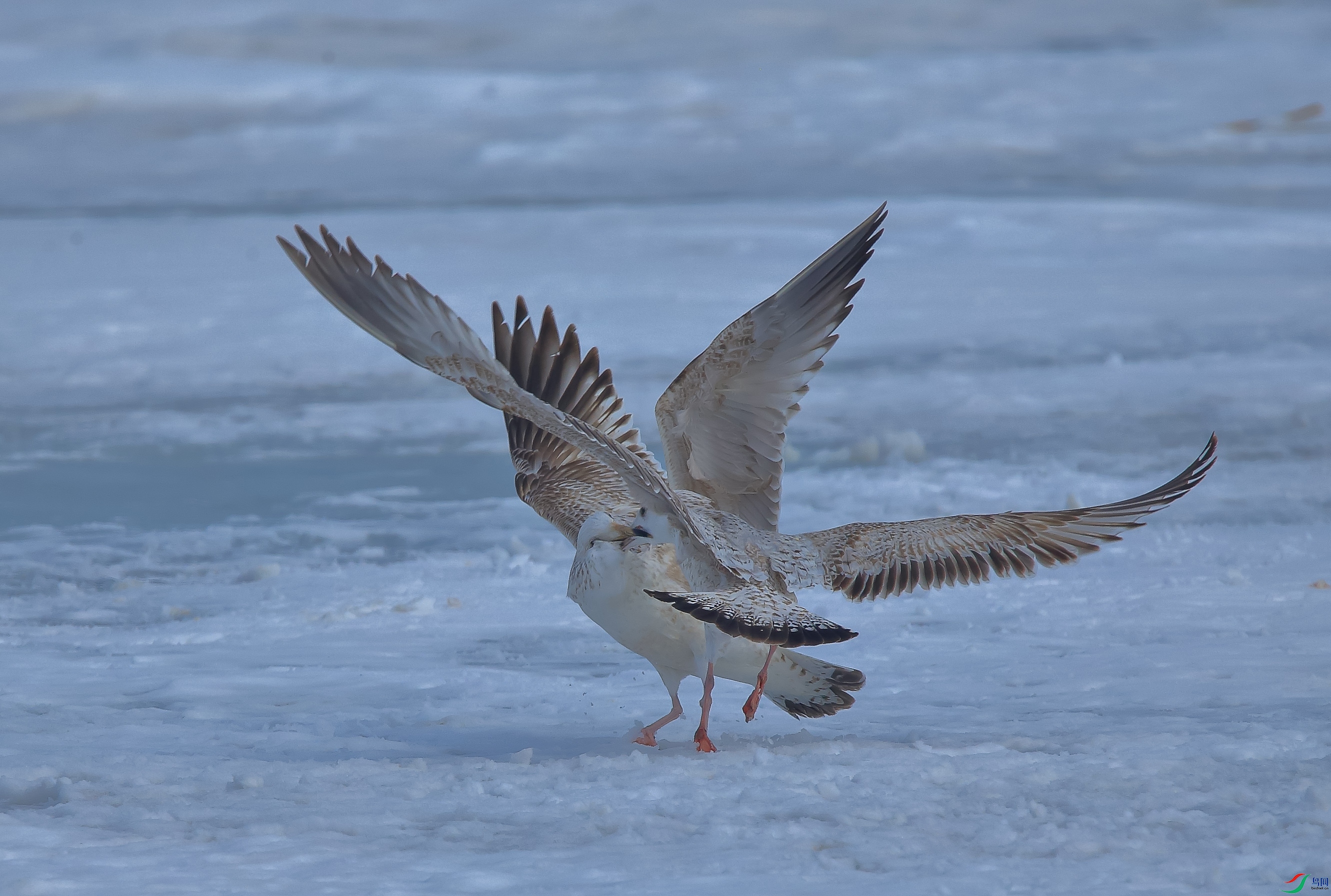 AM6Y0772 ����.jpg