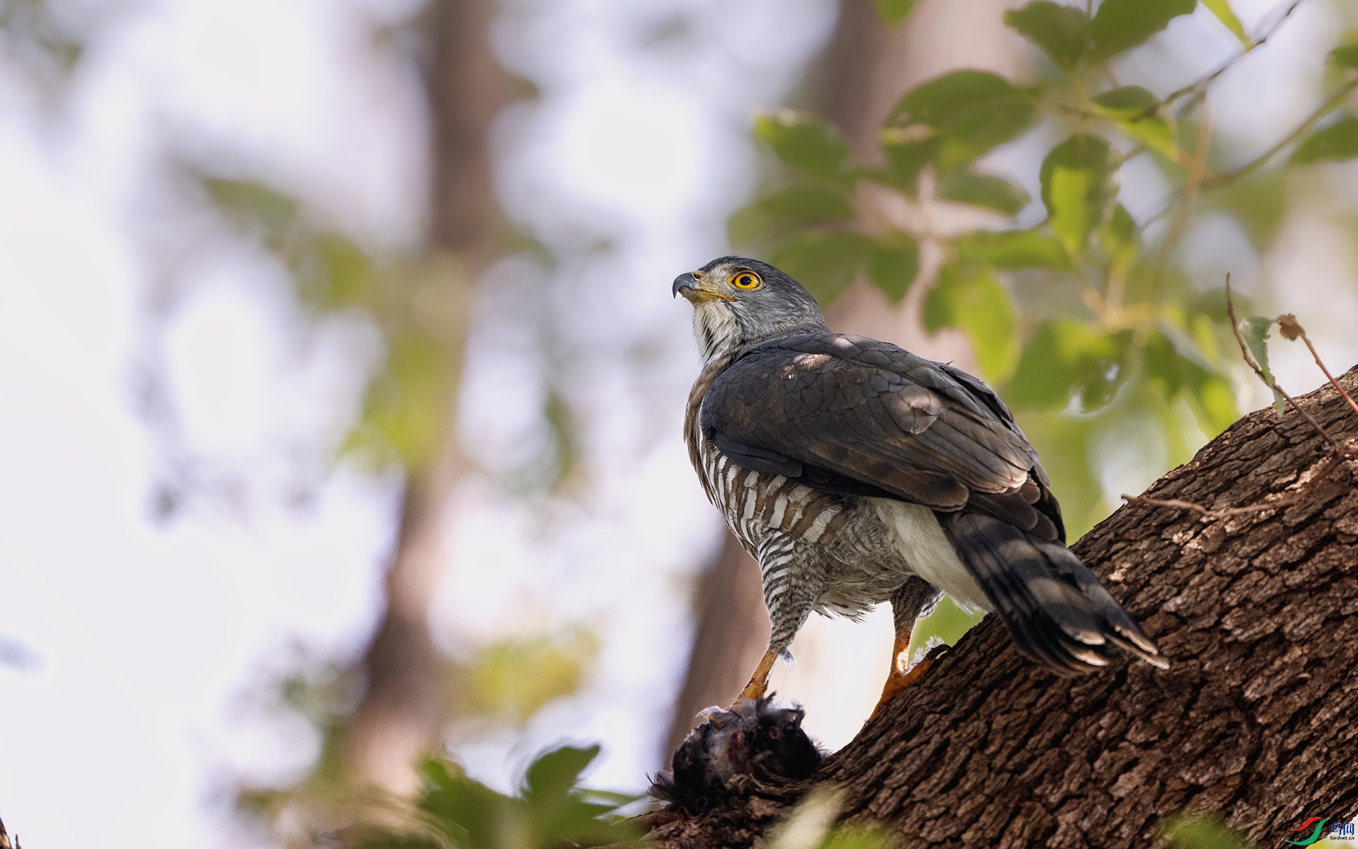 DSC_4258 ����.jpg