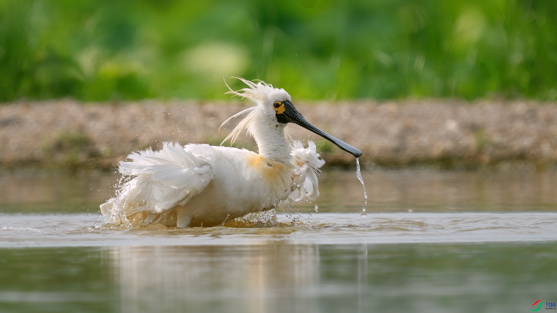 DSC04225 ����.jpg