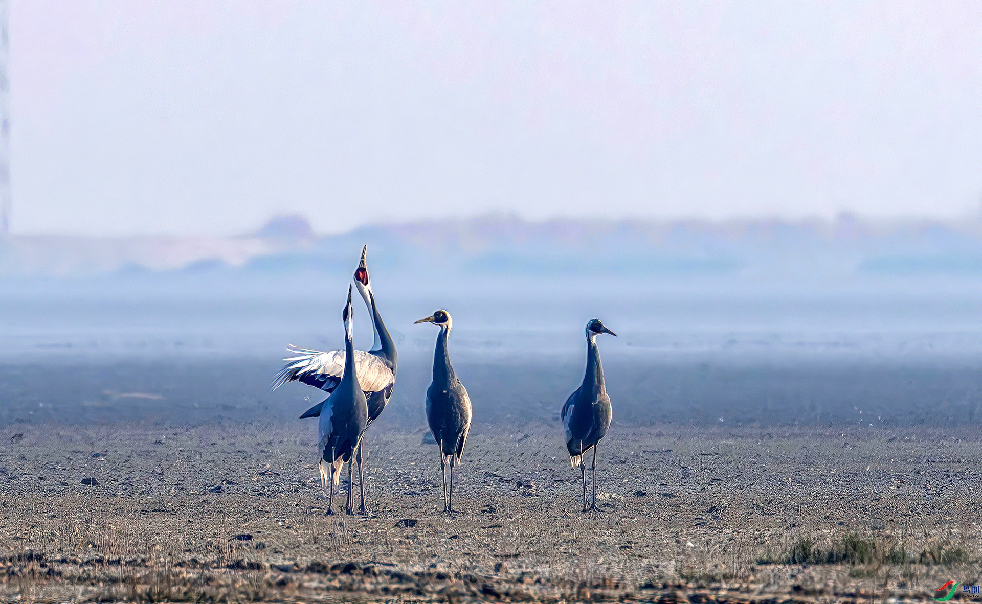 _07A5218-----33  .jpg