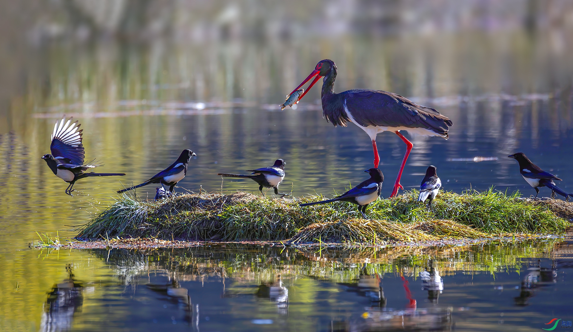 _07A5789-----33  .jpg