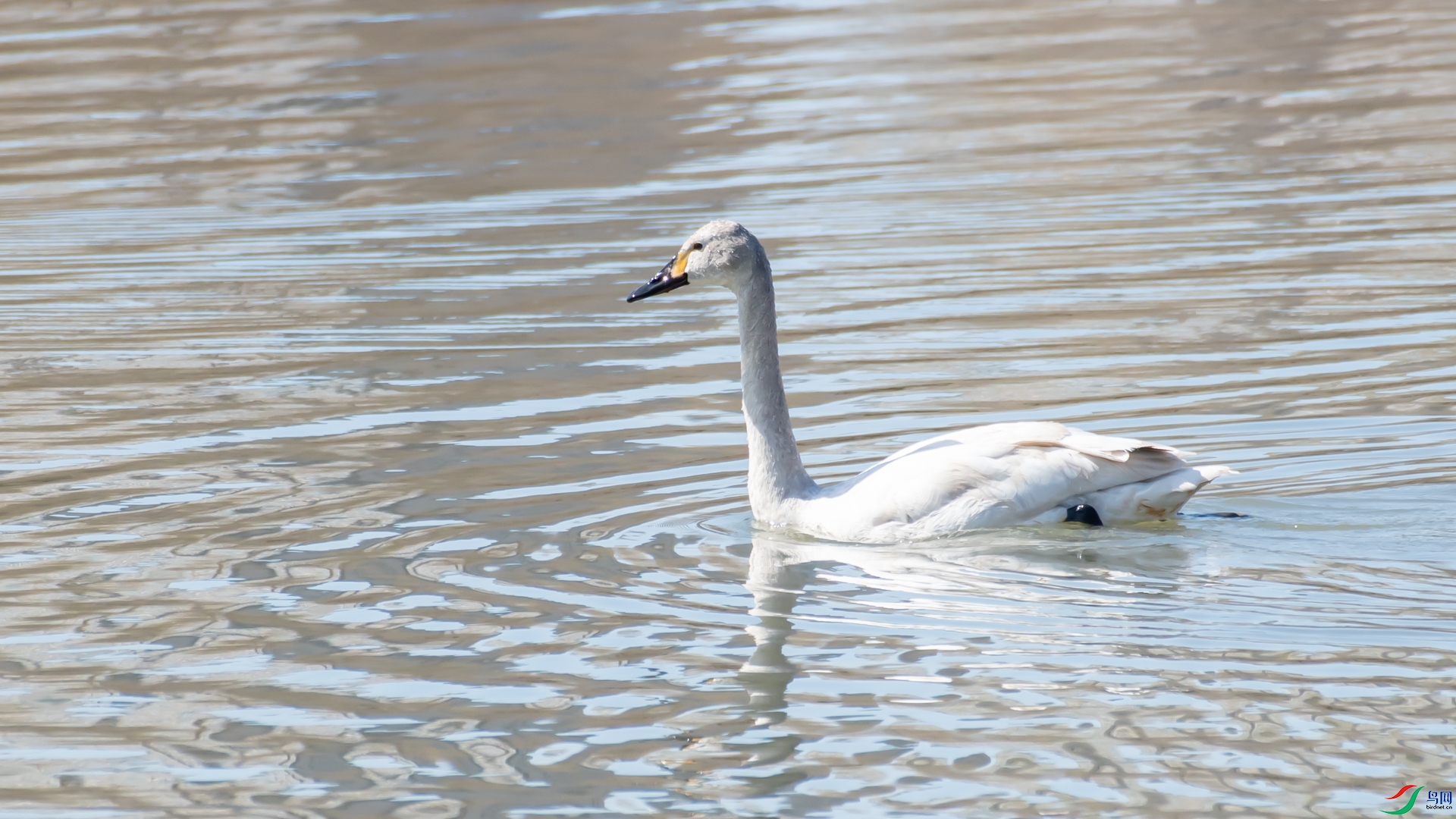 _DSC7456.jpg