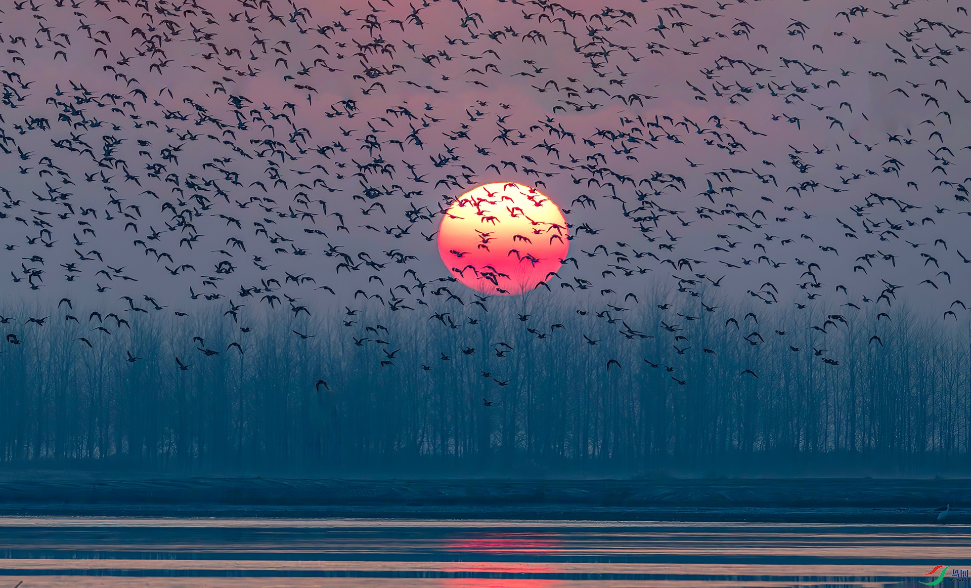 _60A6977-----33  .jpg