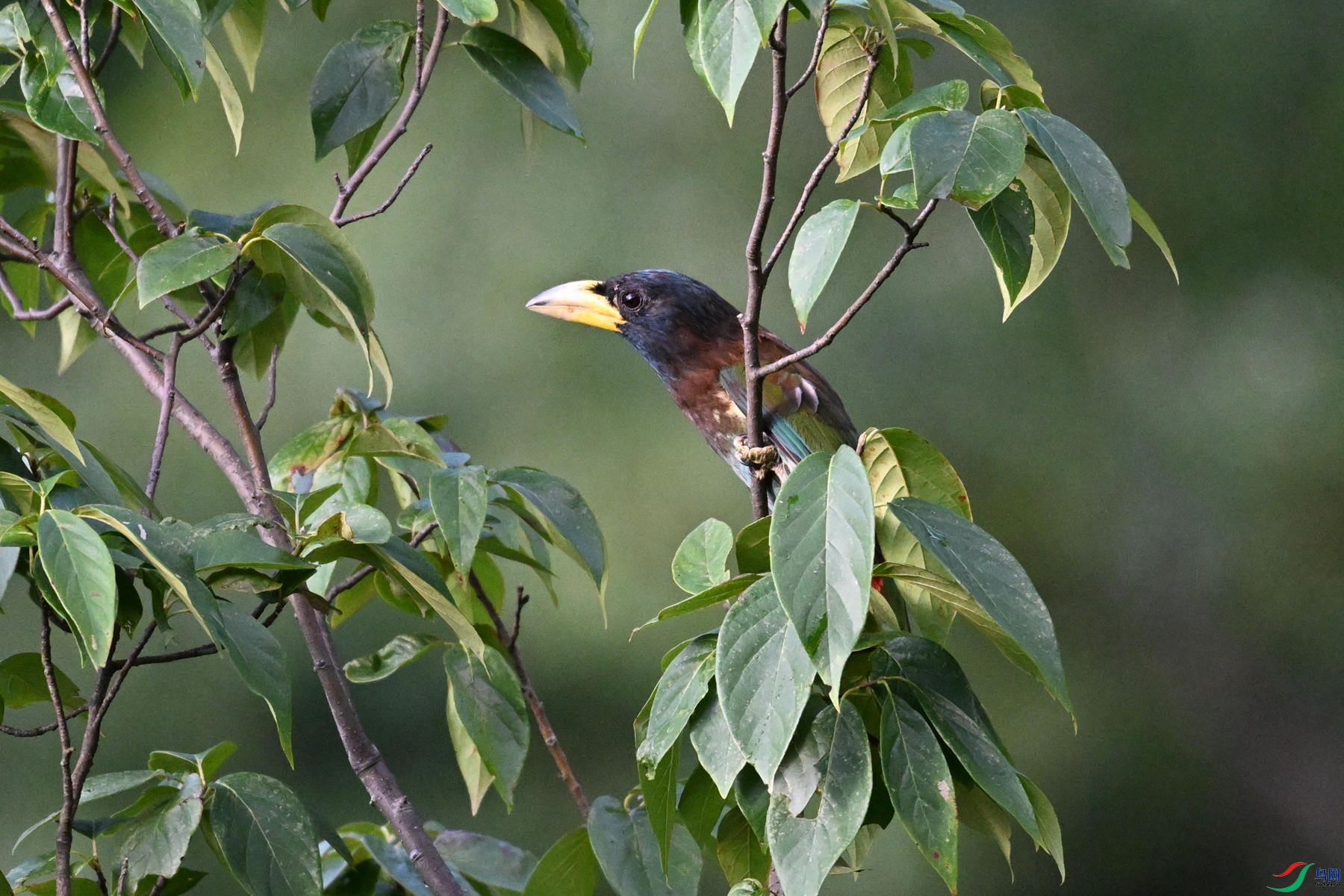 DSC_2487.JPG
