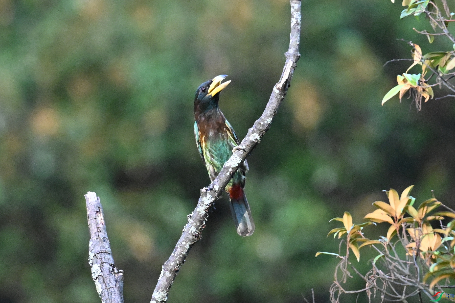 DSC_2513.JPG