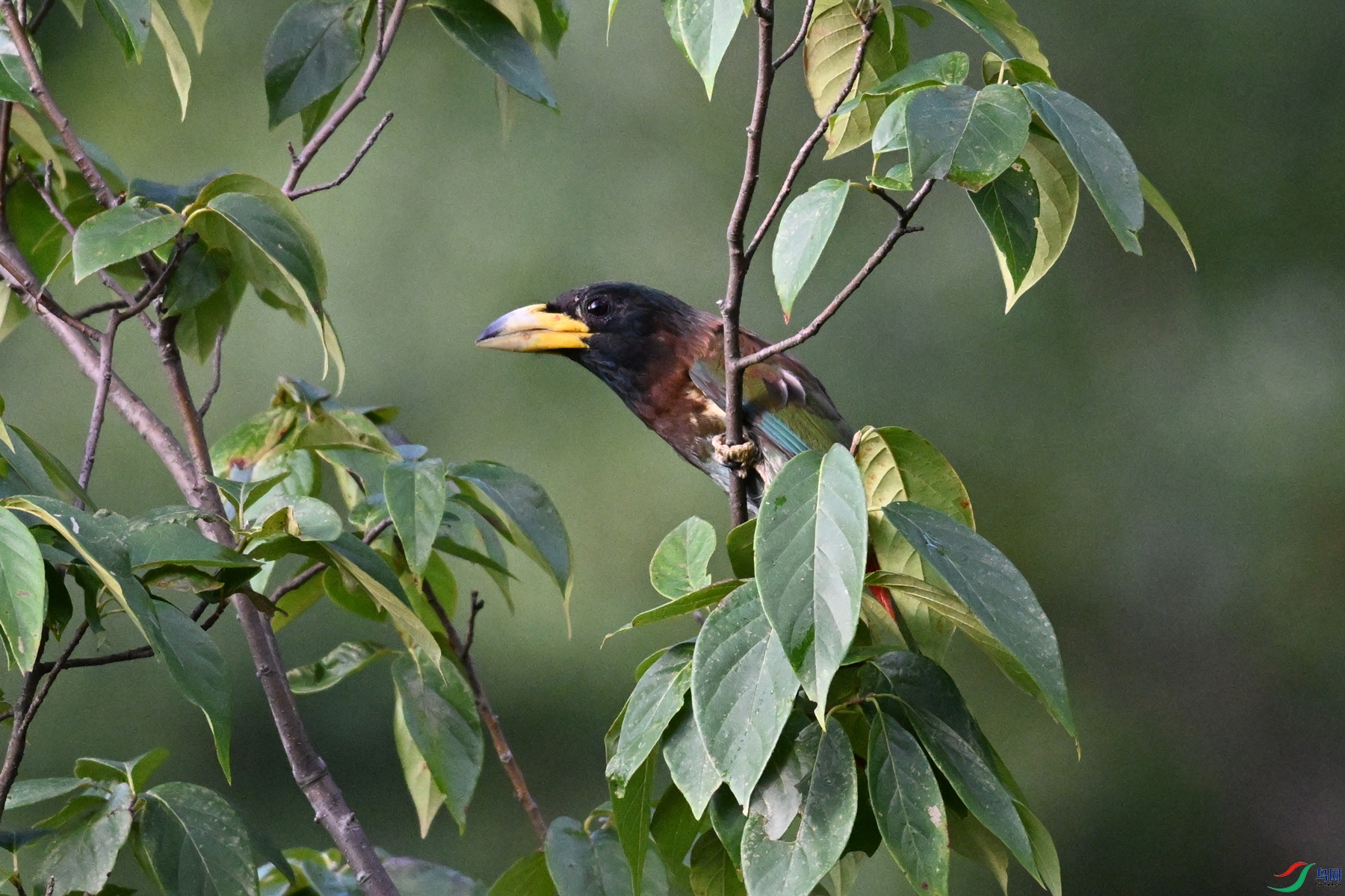 DSC_2489.JPG