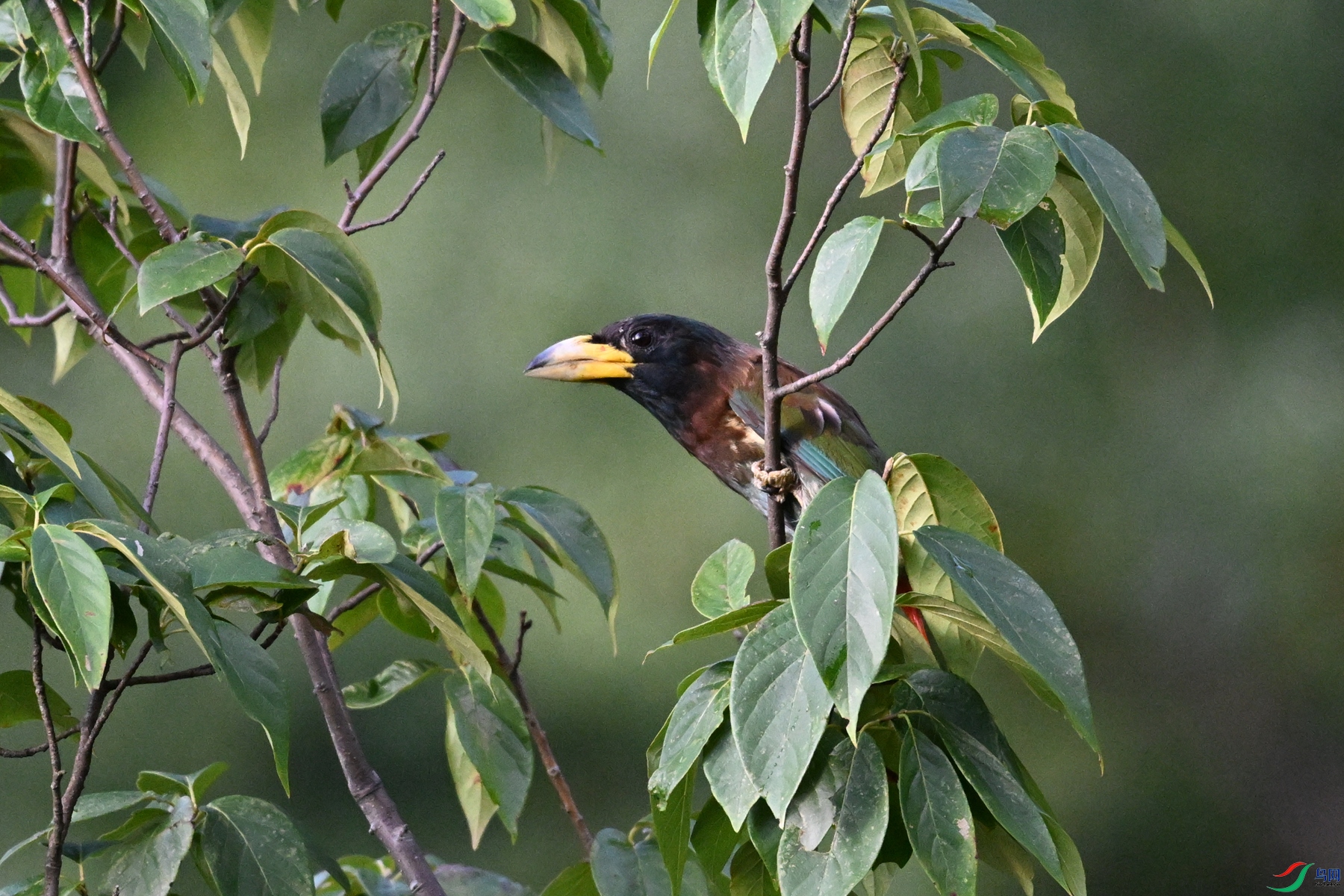DSC_2490.JPG