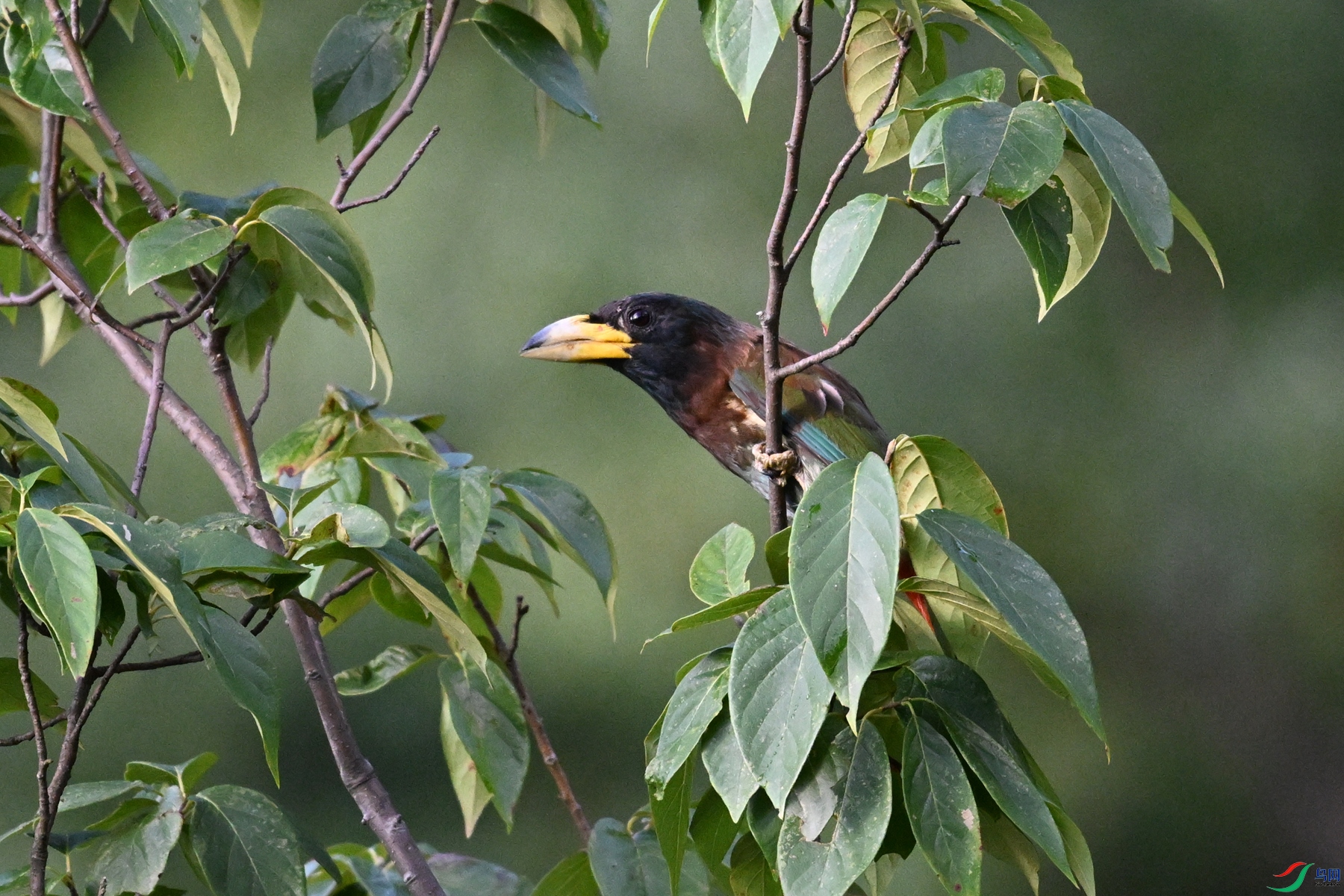 DSC_2491.JPG