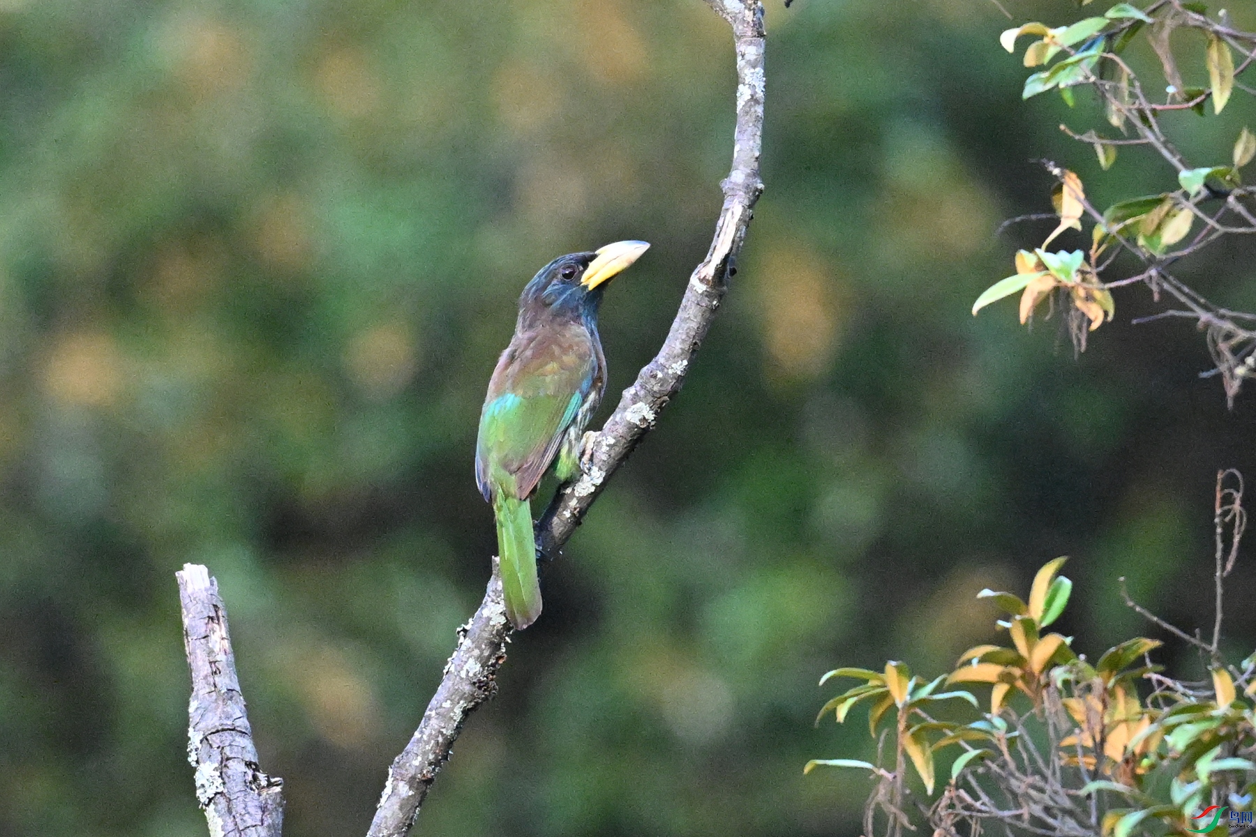 DSC_2535.JPG