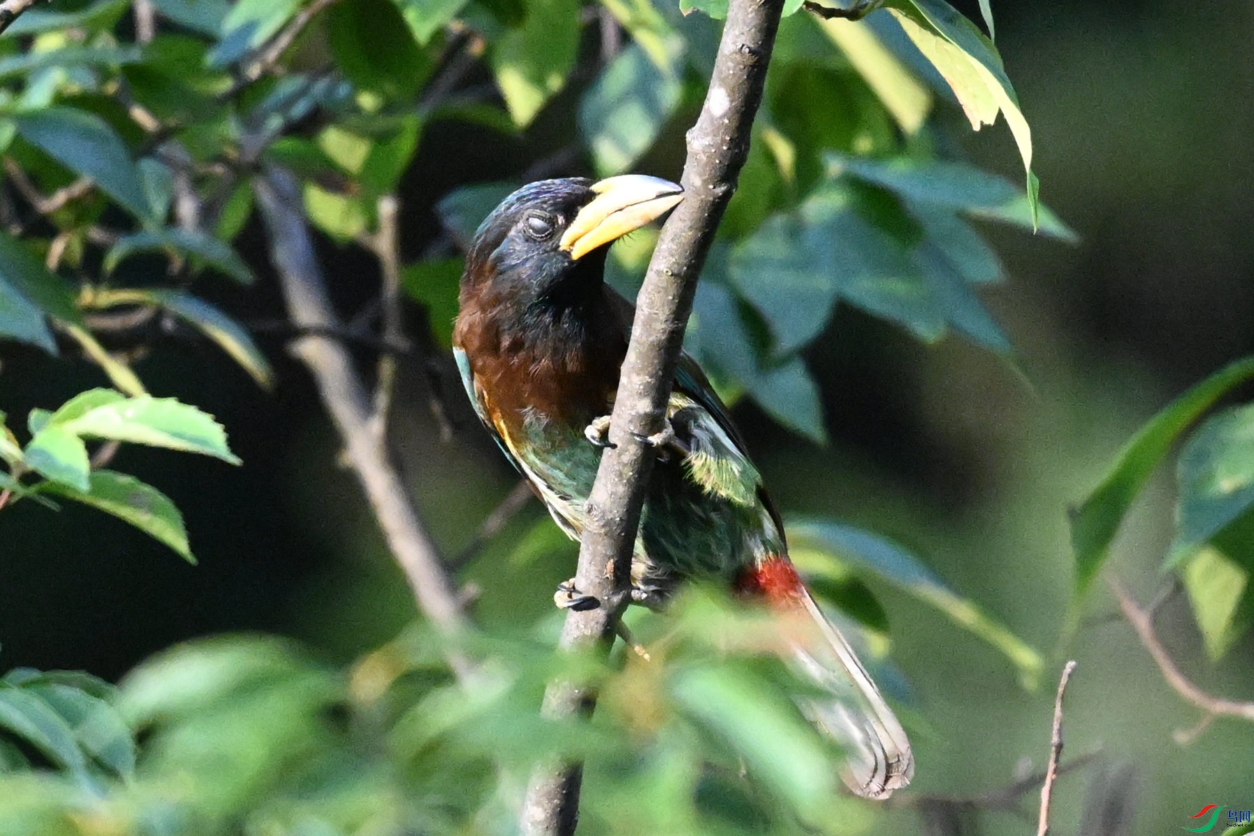 DSC_2504.JPG