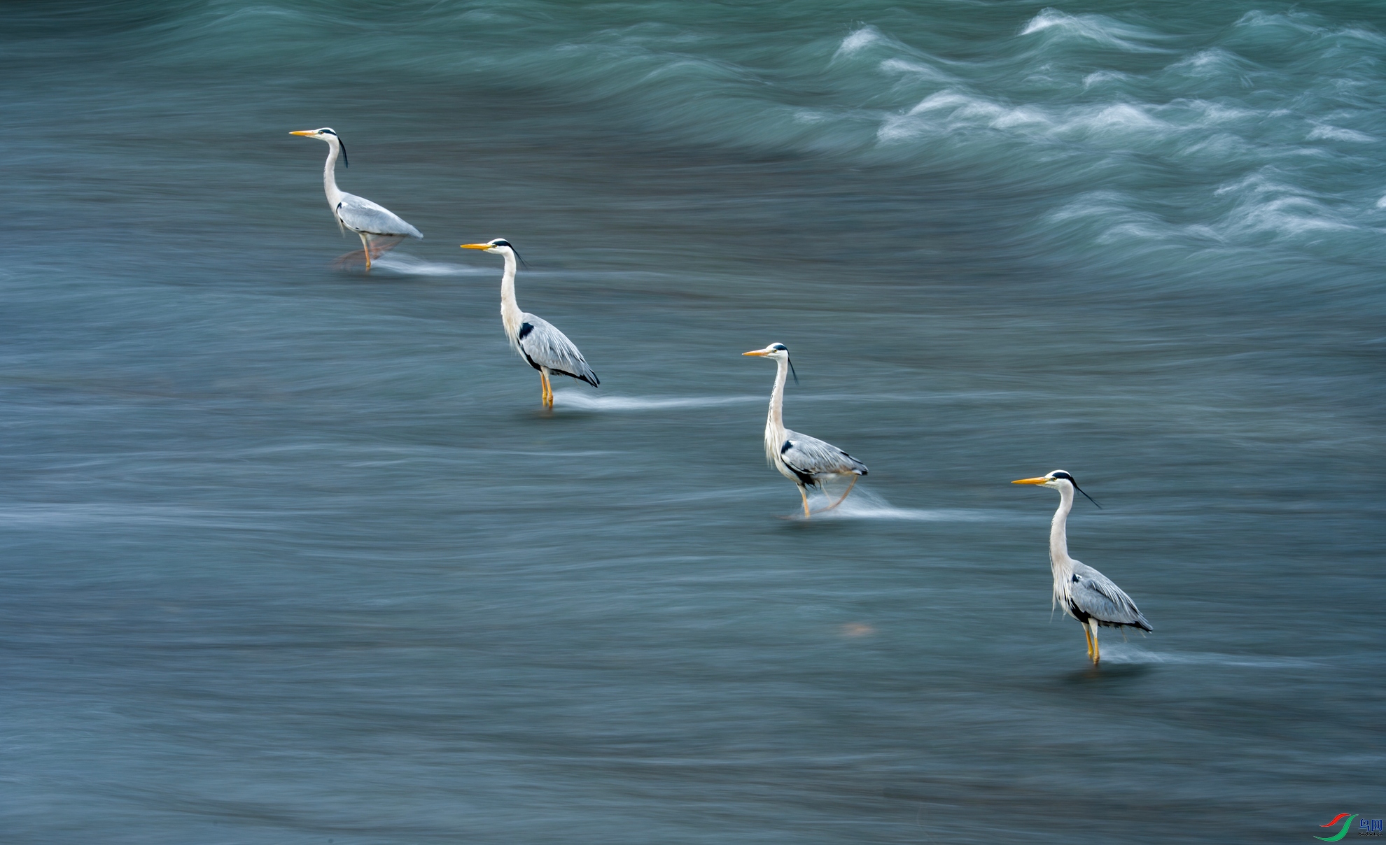 DSC01388 ����_����.jpg