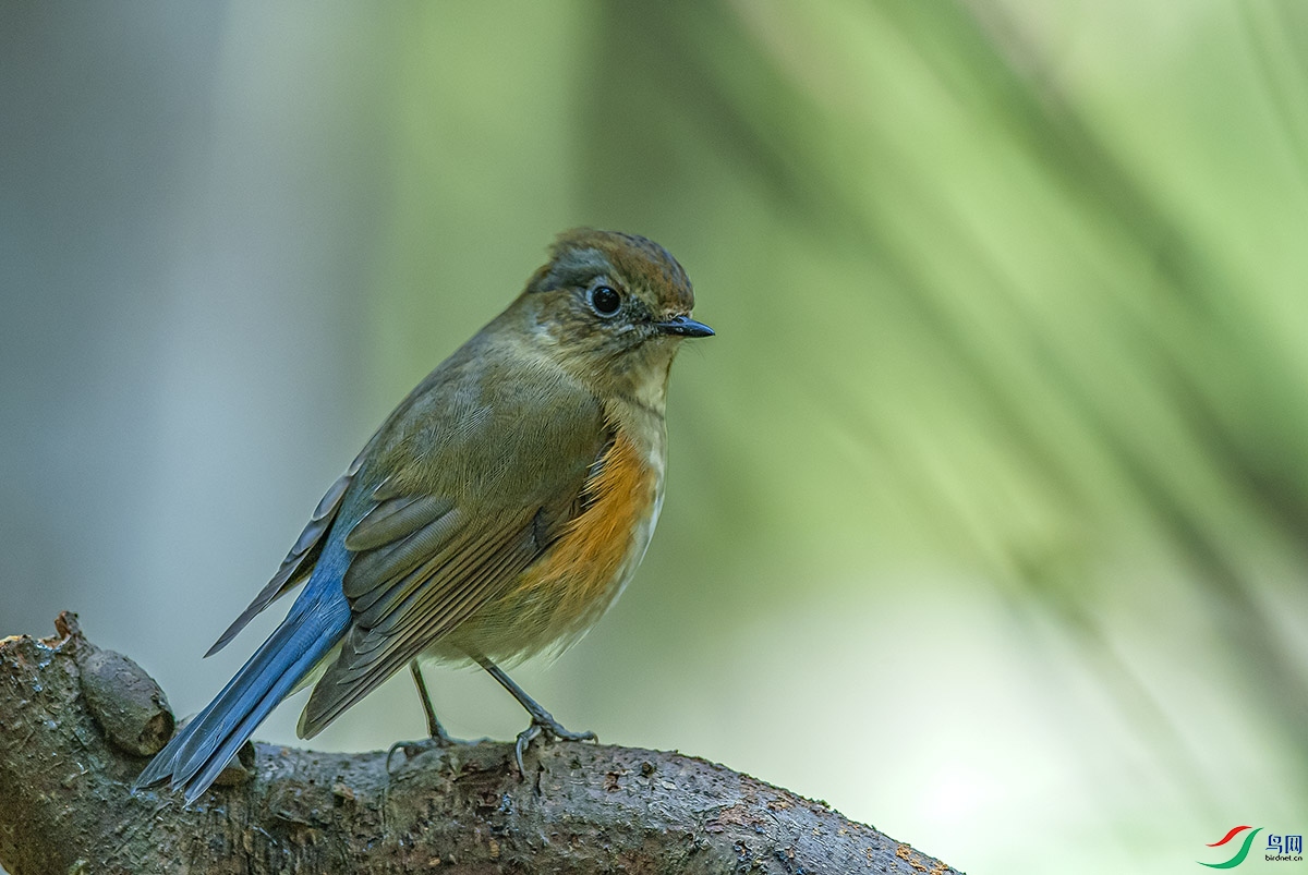 DSC_4974.jpg