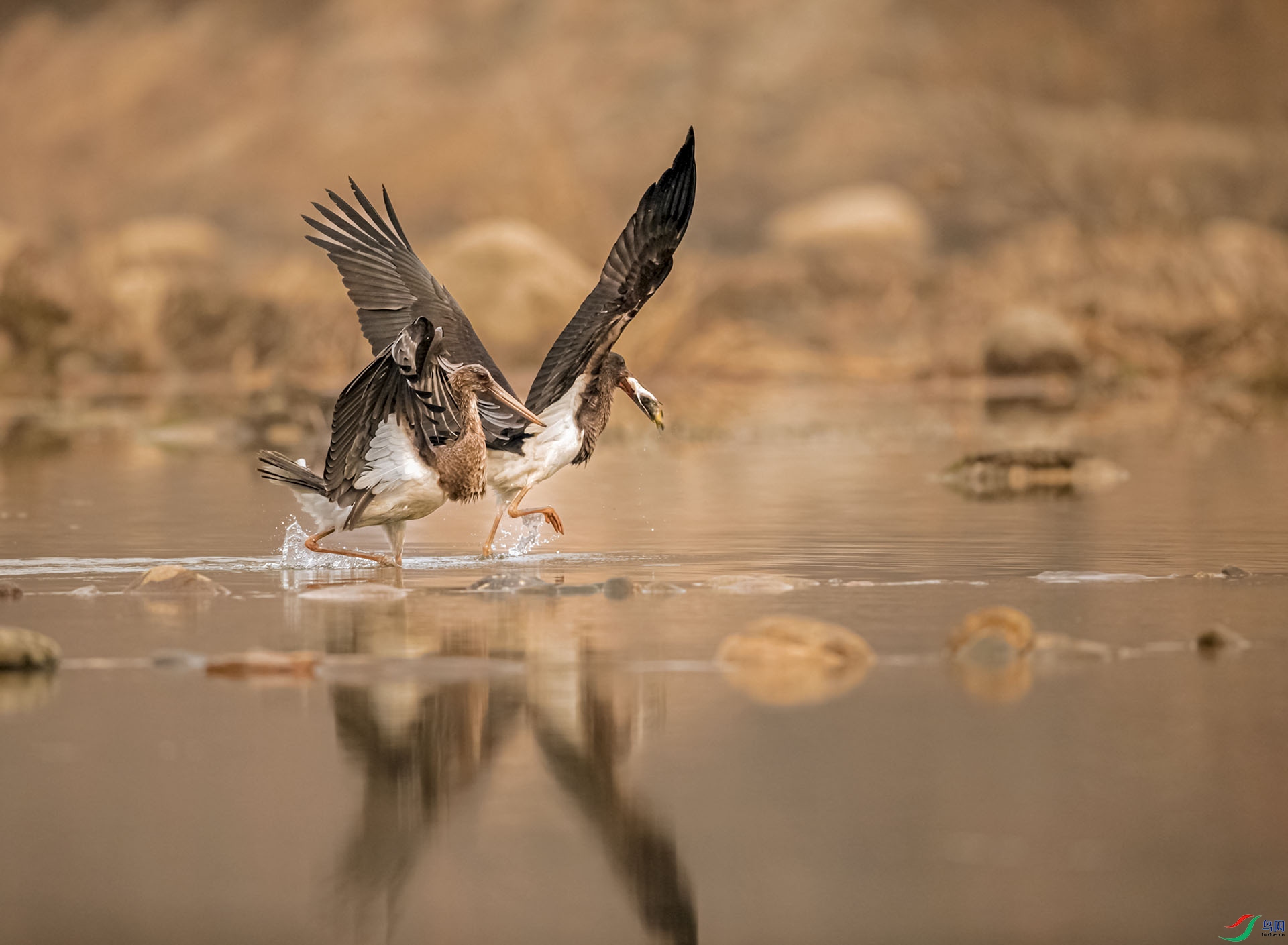 AI4T5044_���� ����.jpg