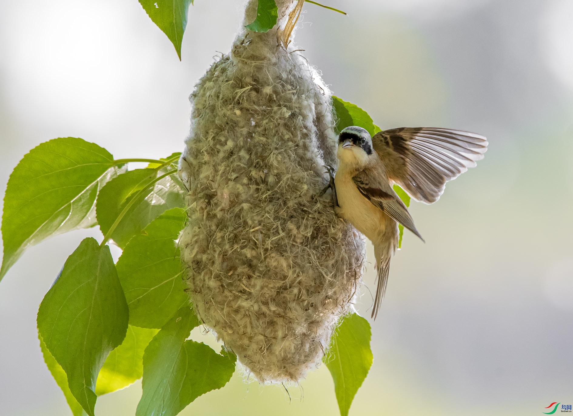 DSC_0945_��ͼ�� ����.jpg