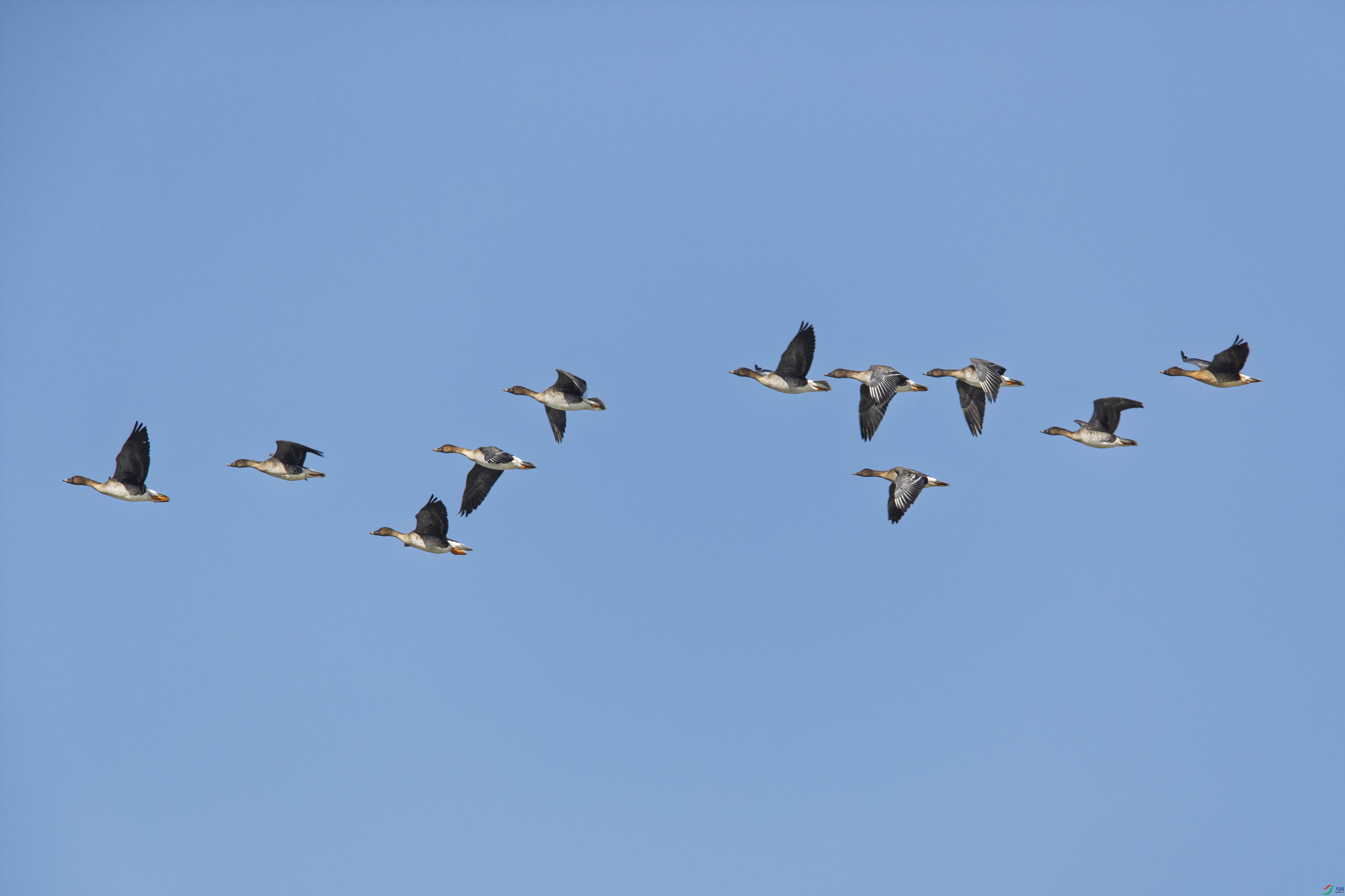 WGX_5293_1.jpg