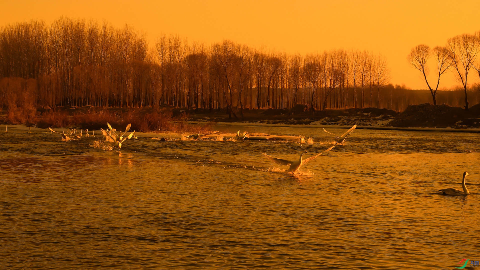 �������