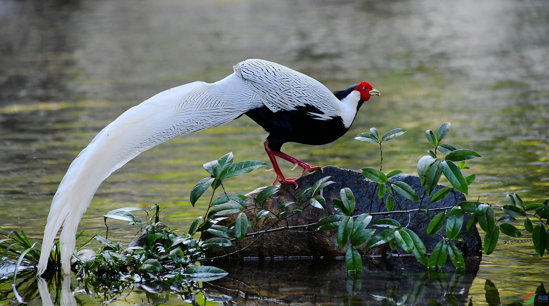 DSC_1538.jpg