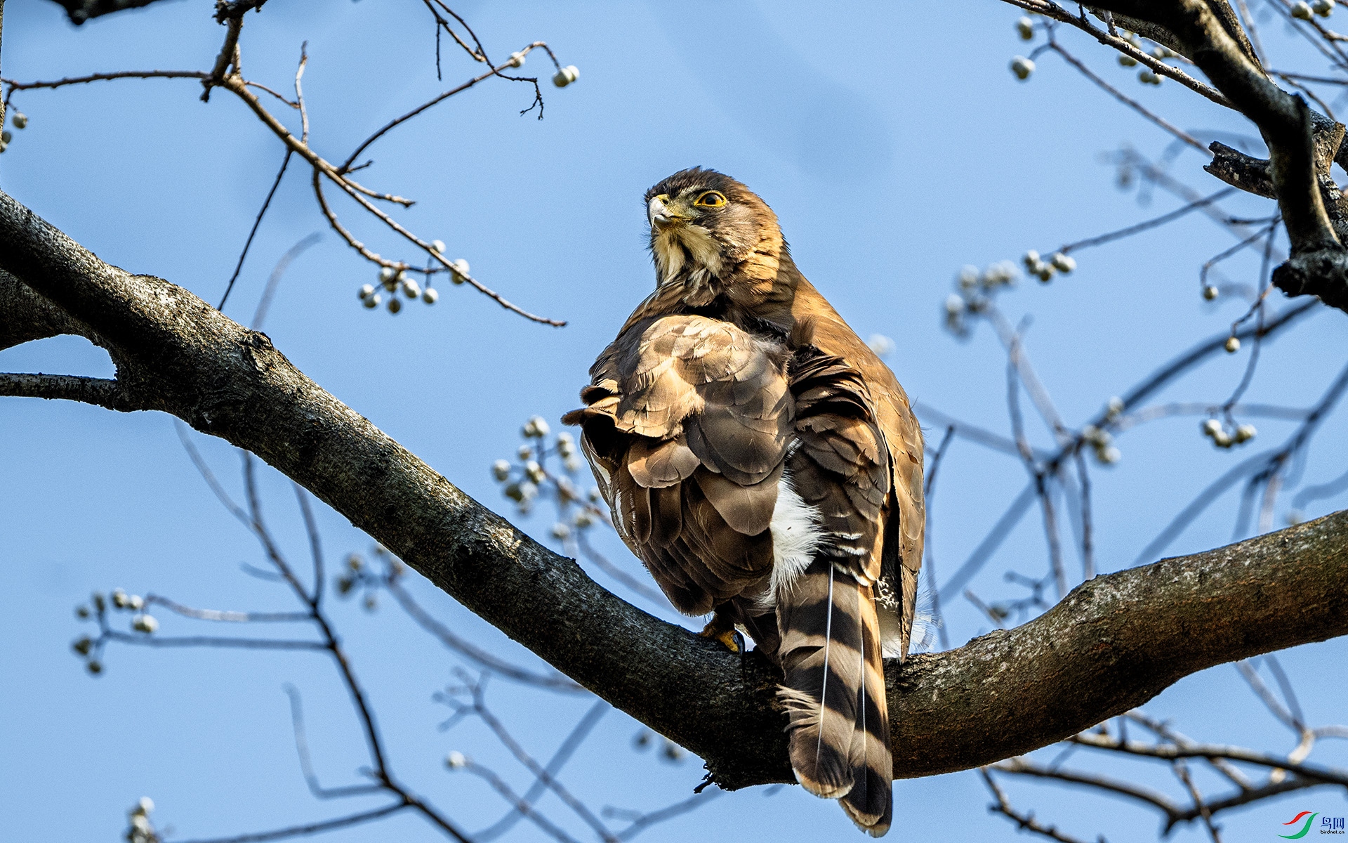 DSC_3849 ����.jpg