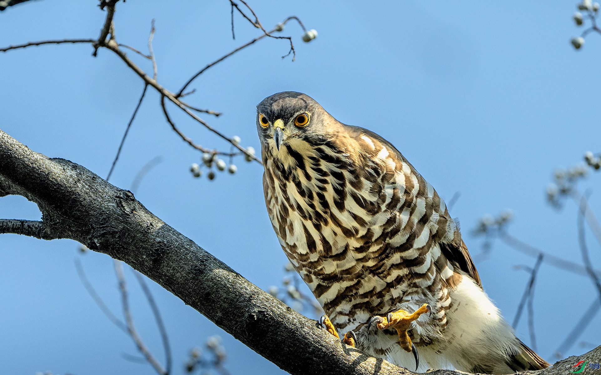 DSC_3905 ����.jpg