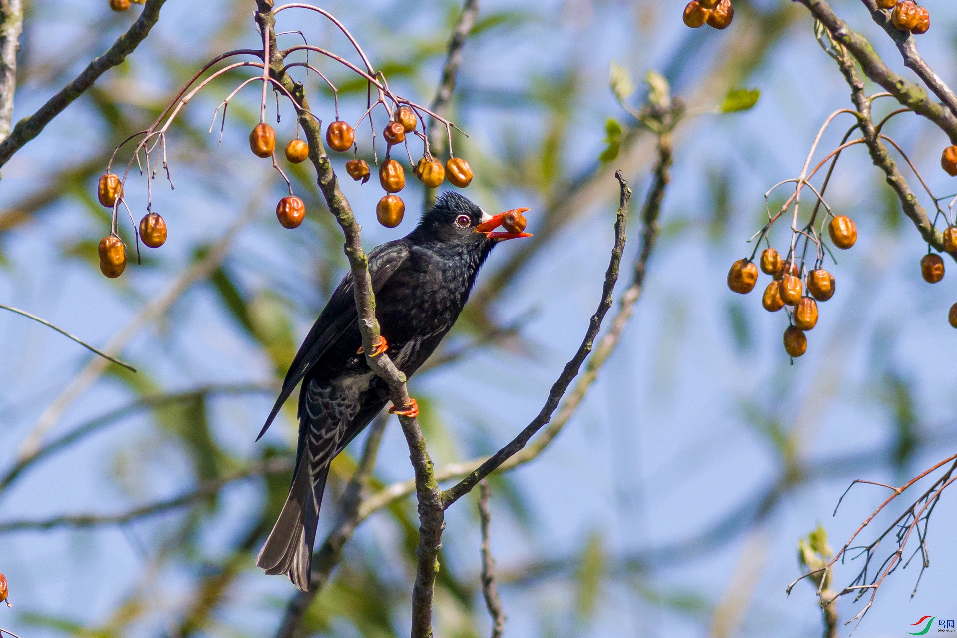 2H6A1958 ����_����.jpg