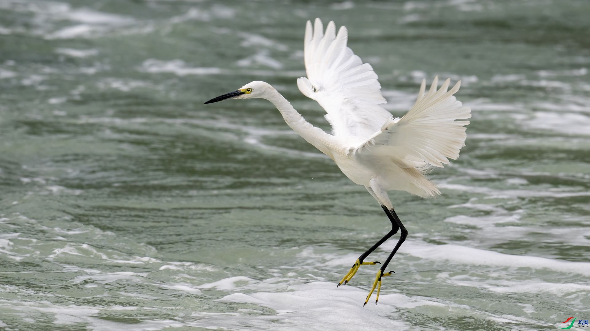 _DSC1094 ����.jpg