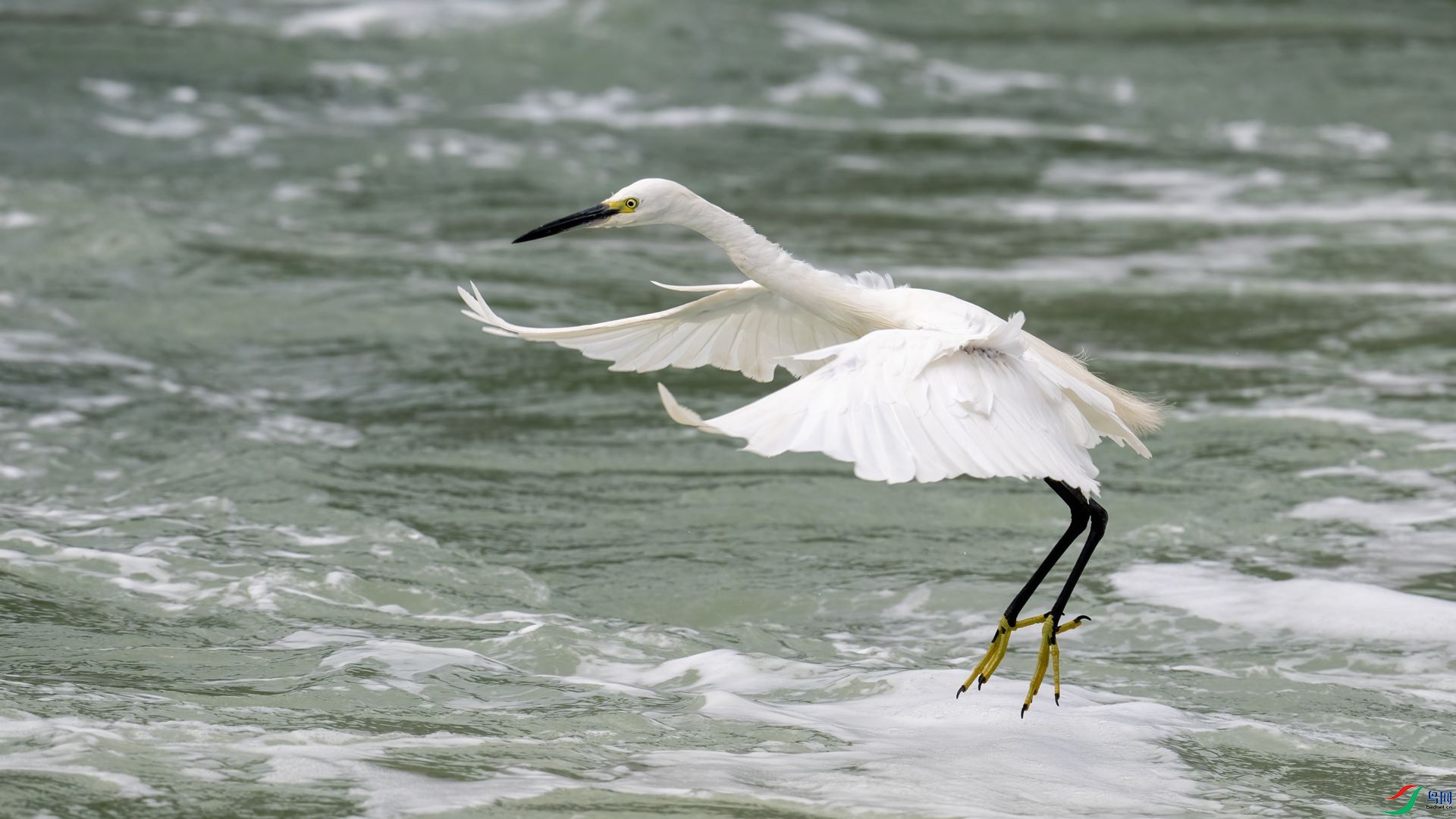 _DSC1095 ����.jpg