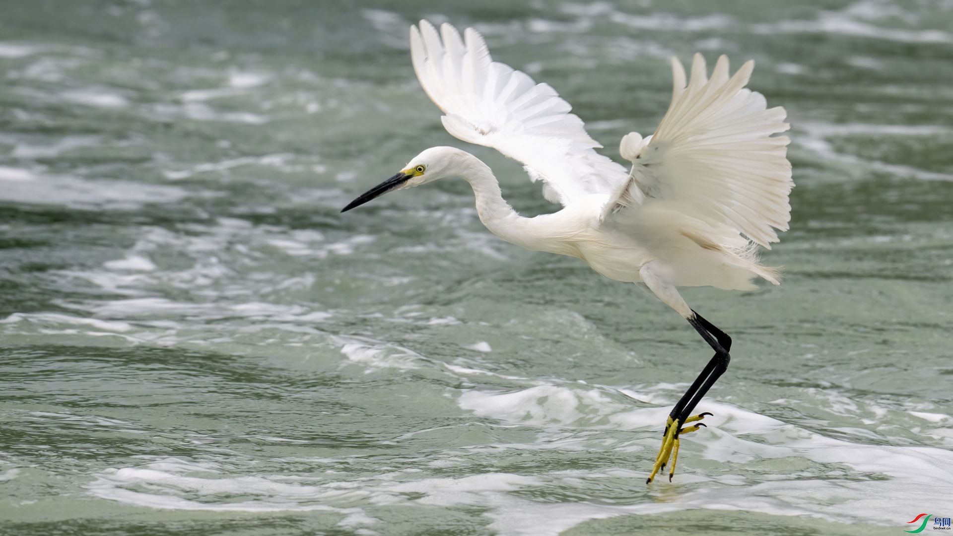 _DSC1098 ����.jpg